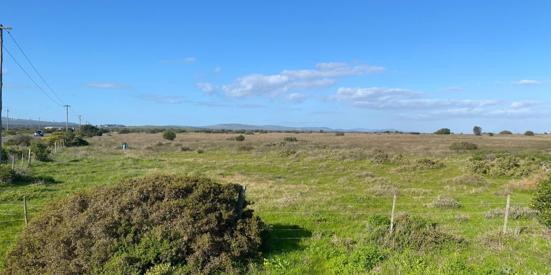 Image 3 of 6