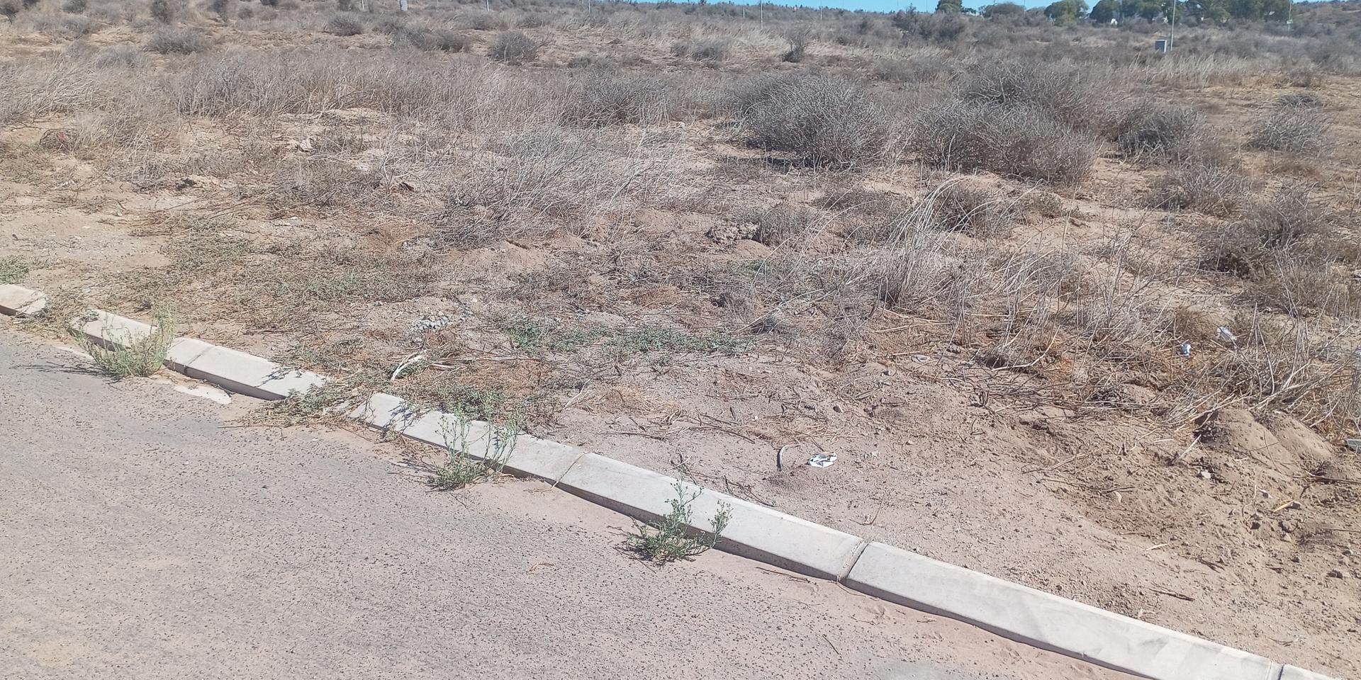 Image 4 of 6