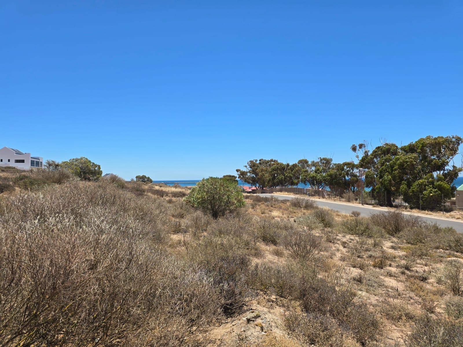 Image 4 of 6