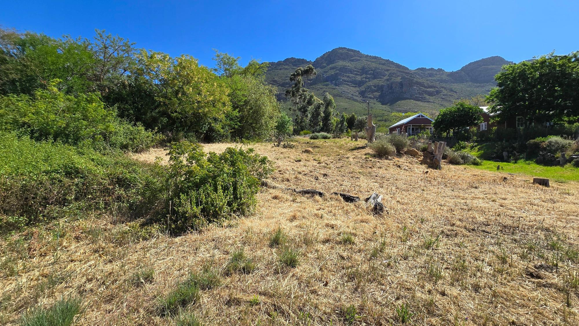 Image 12