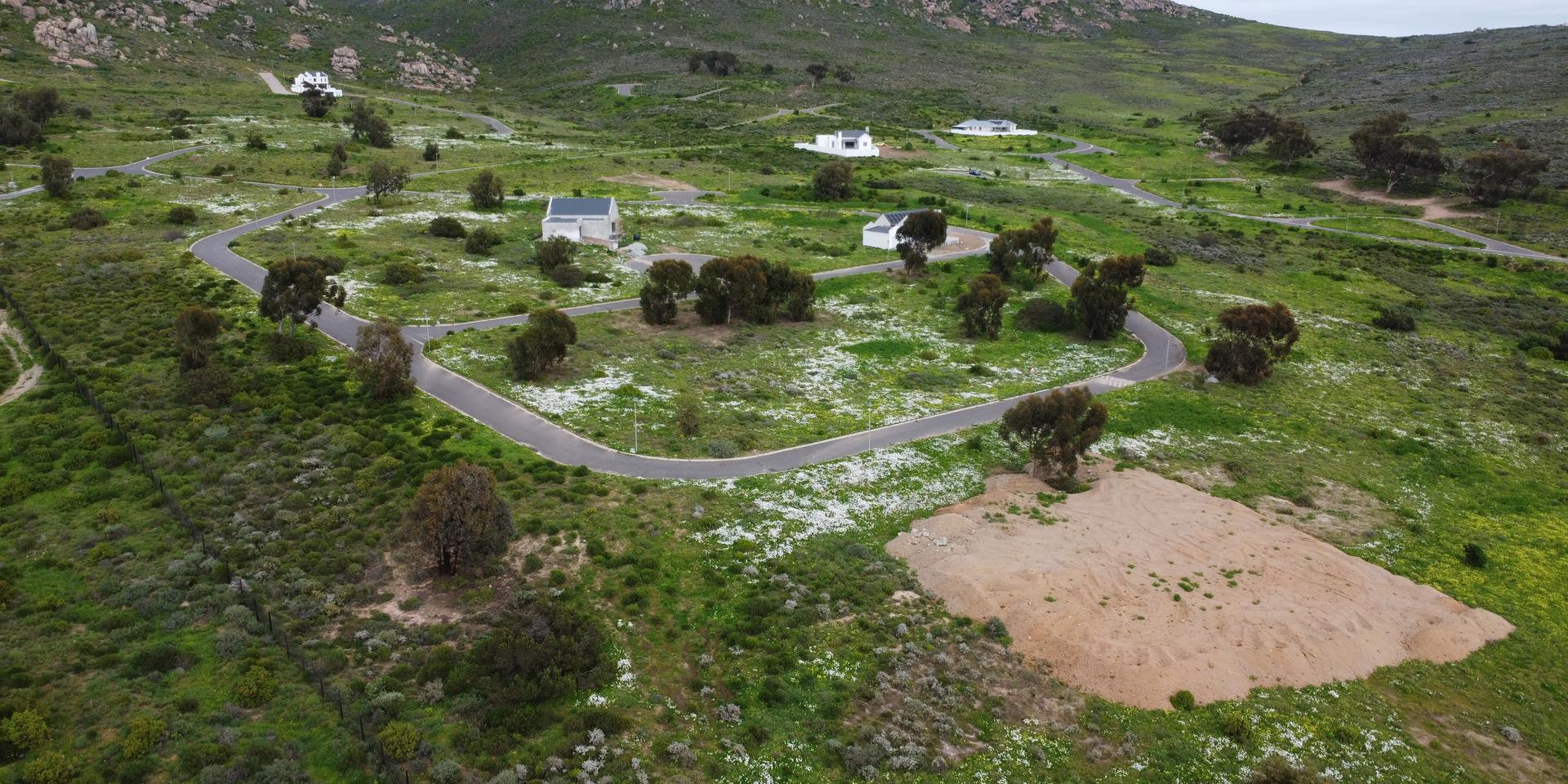 Image 4 of 6