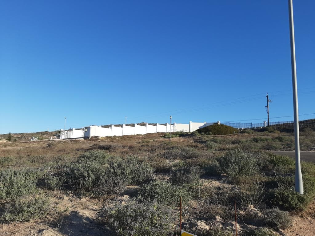 Image 4 of 6