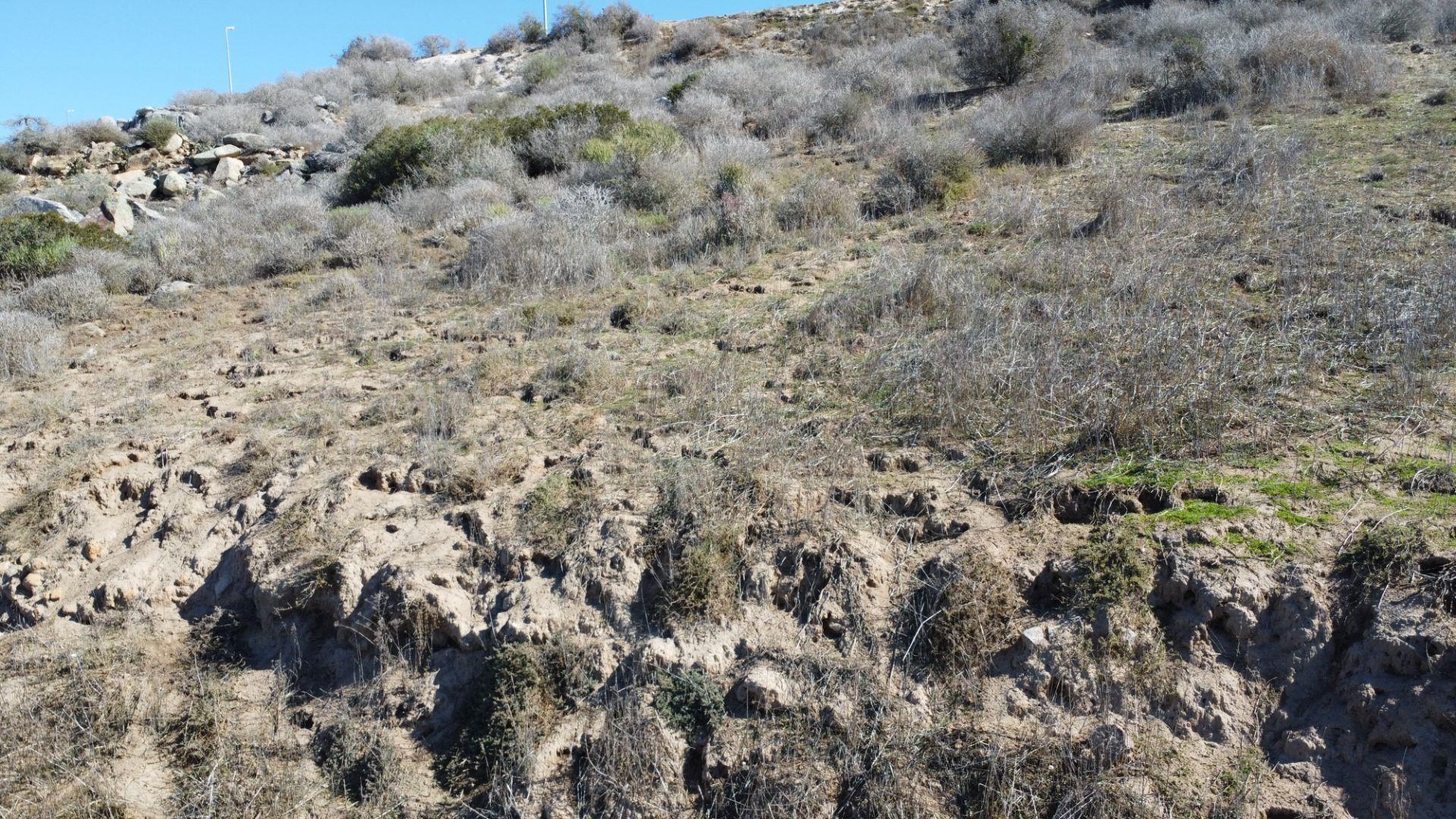 Image 13