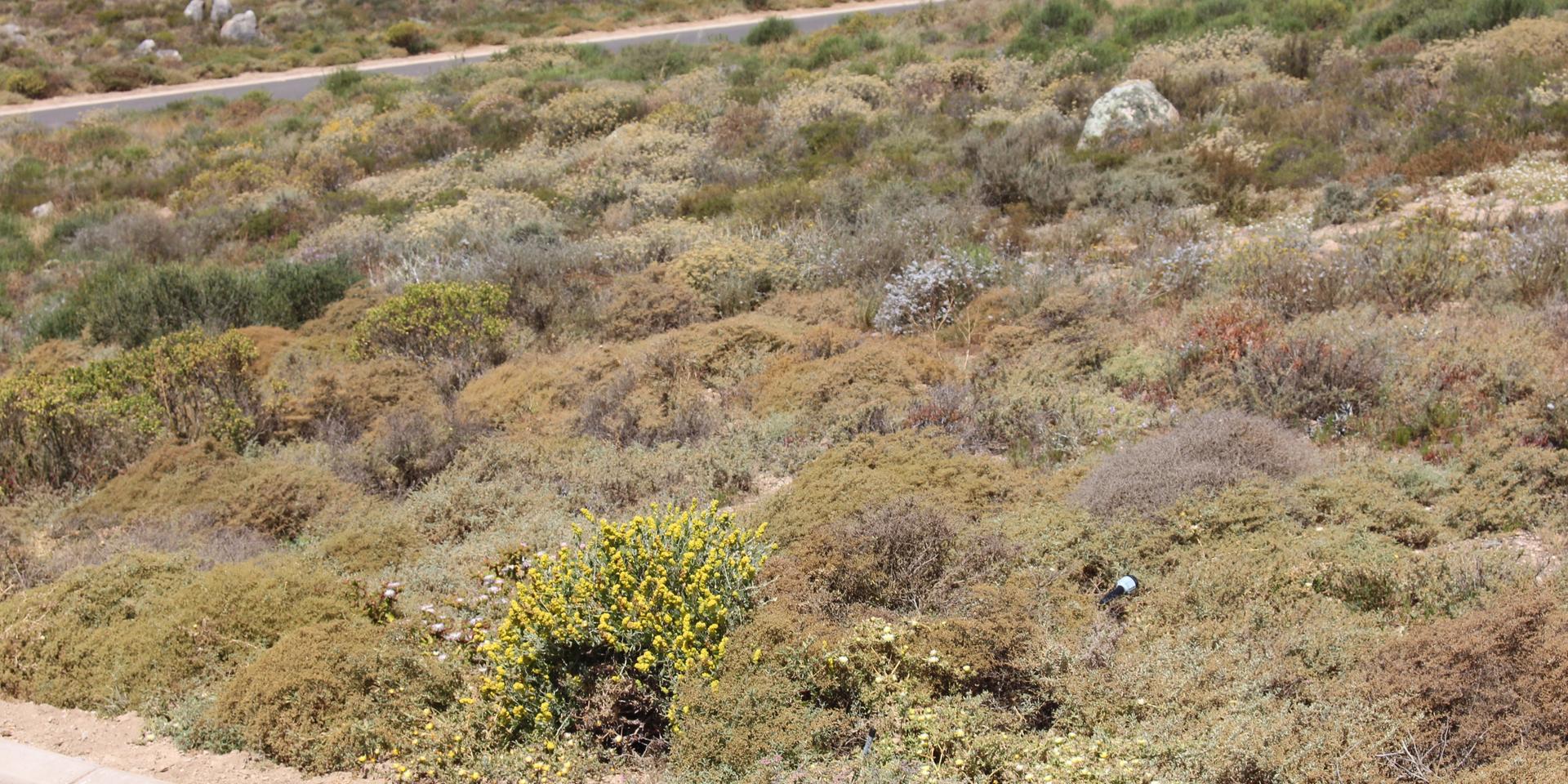 Image 4 of 6
