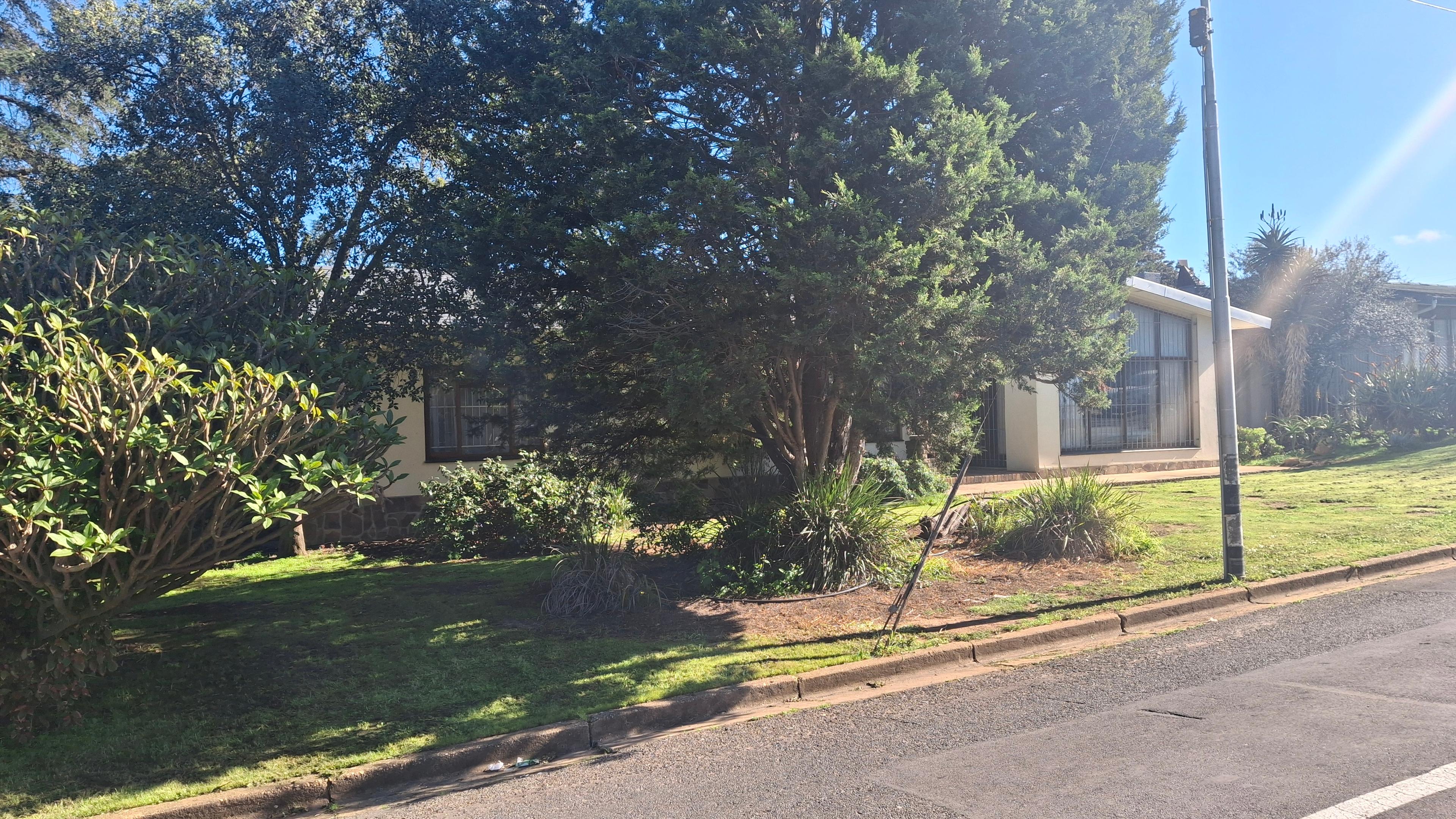 Image 2 of 6