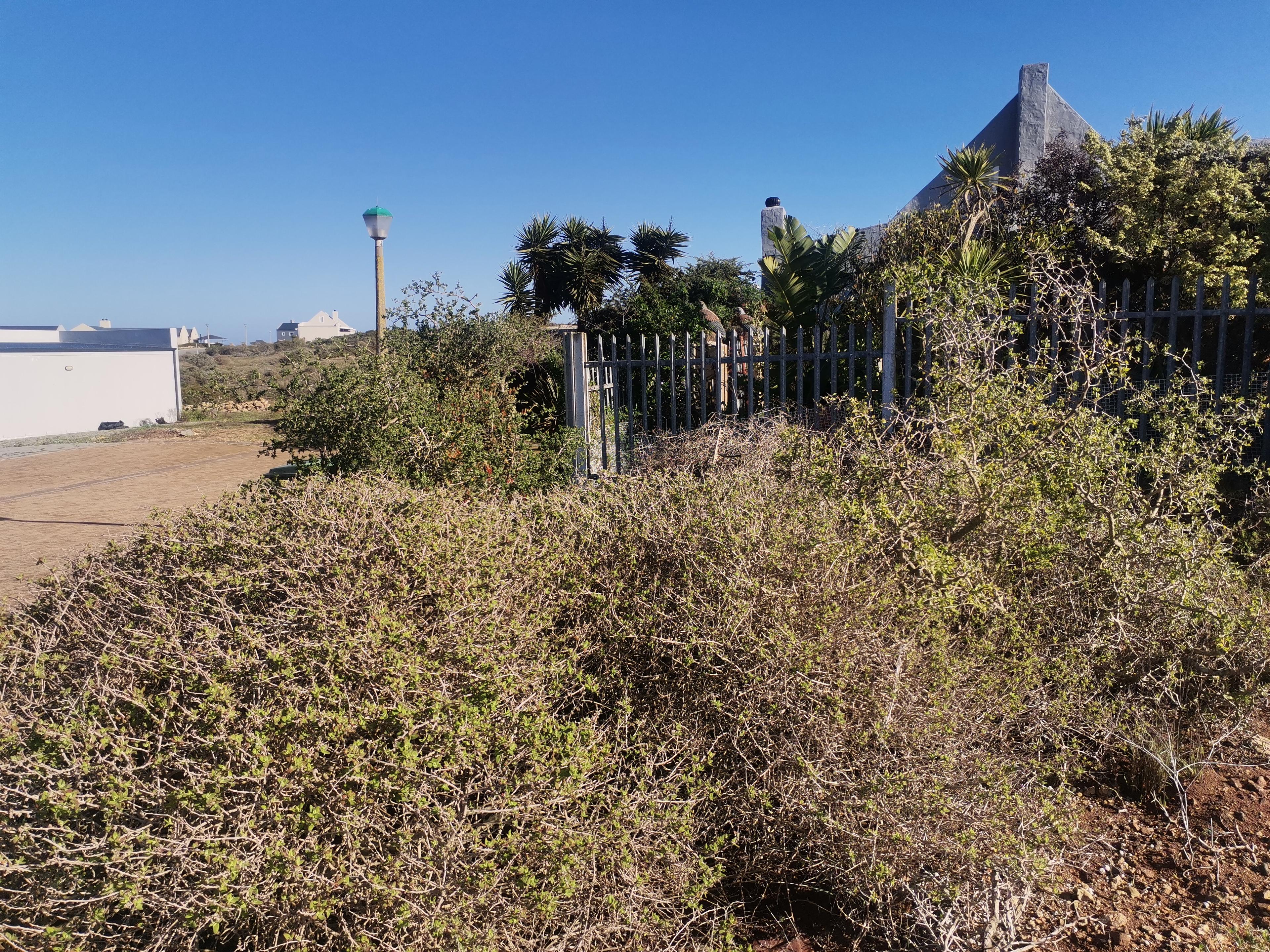 Image 7