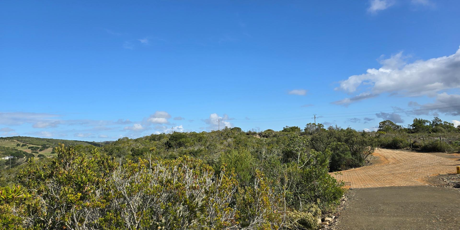 Image 2 of 6