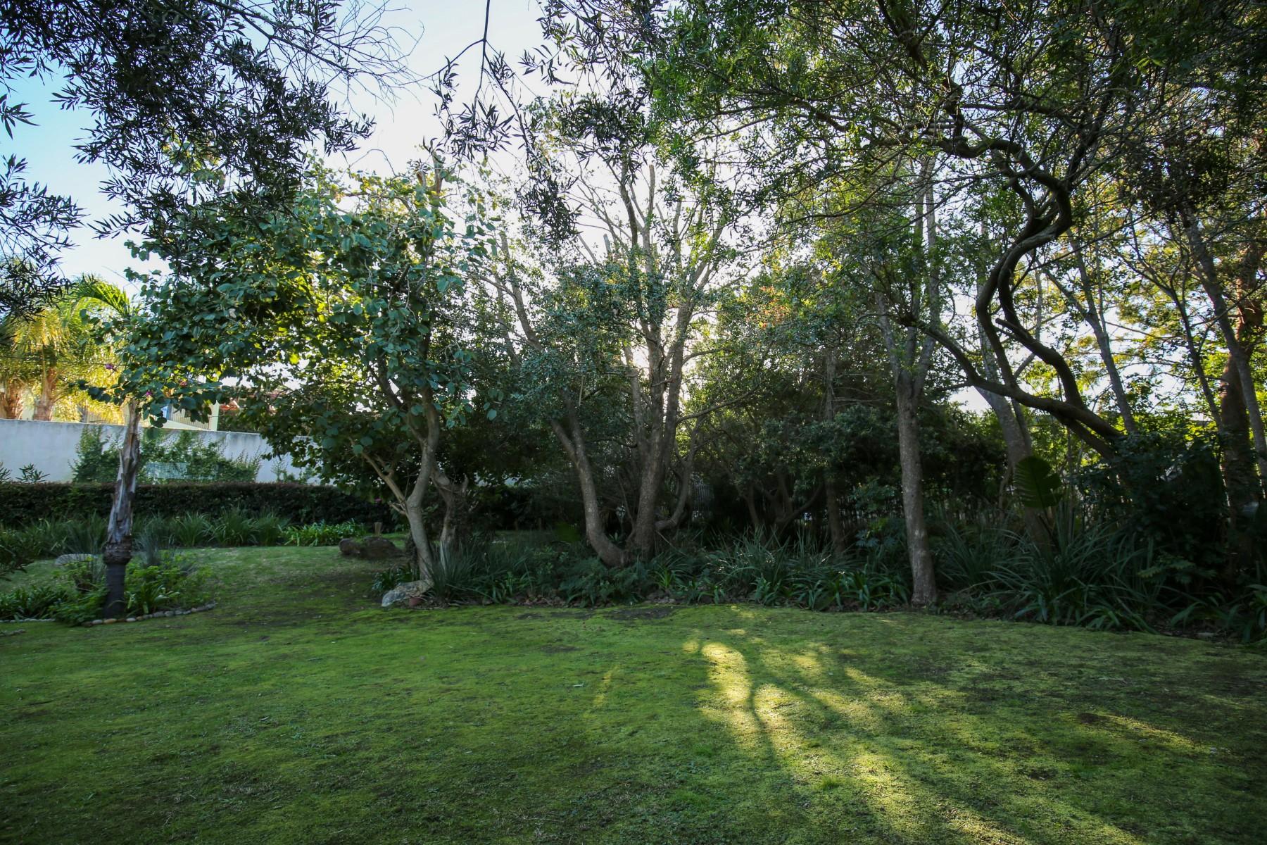 Image 22