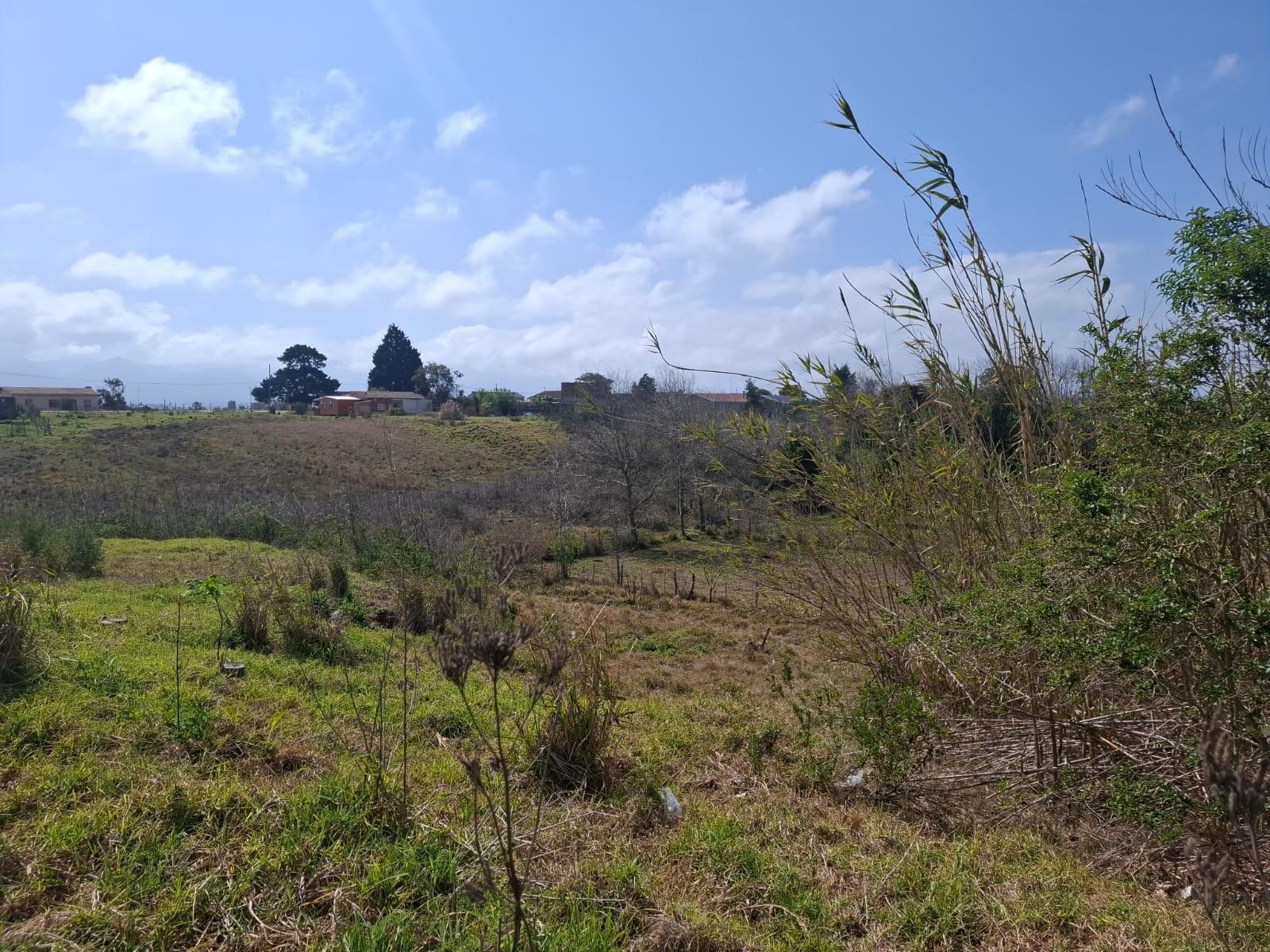 Image 13