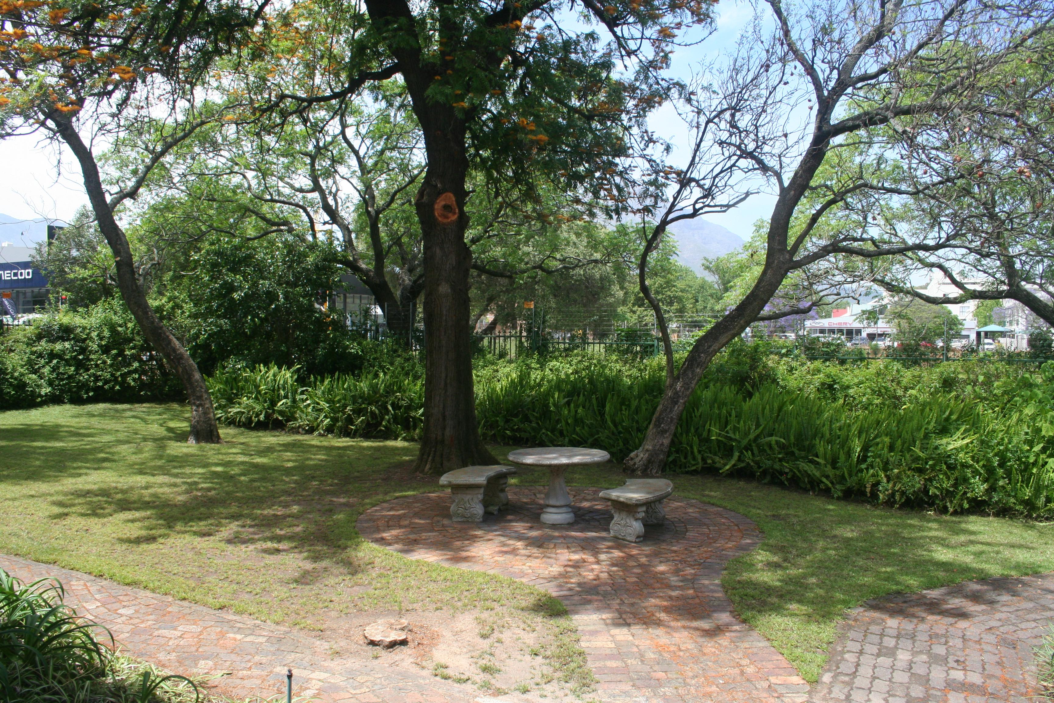 Image 17