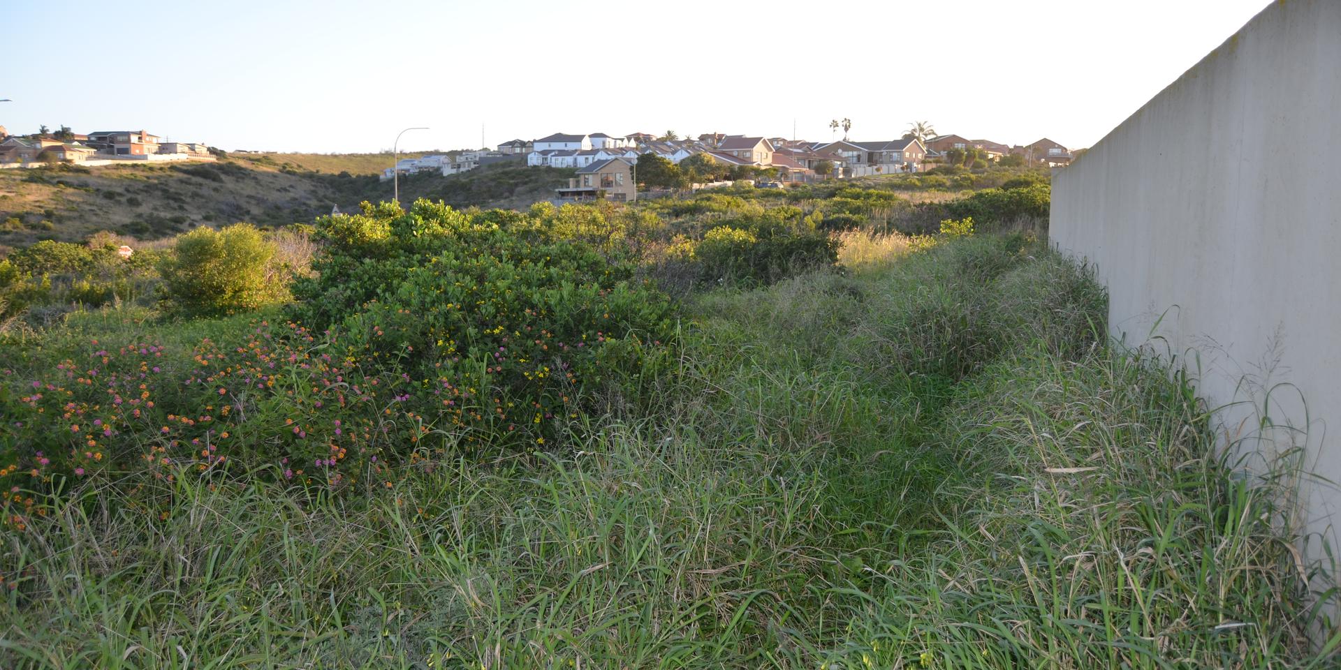 Image 2 of 6