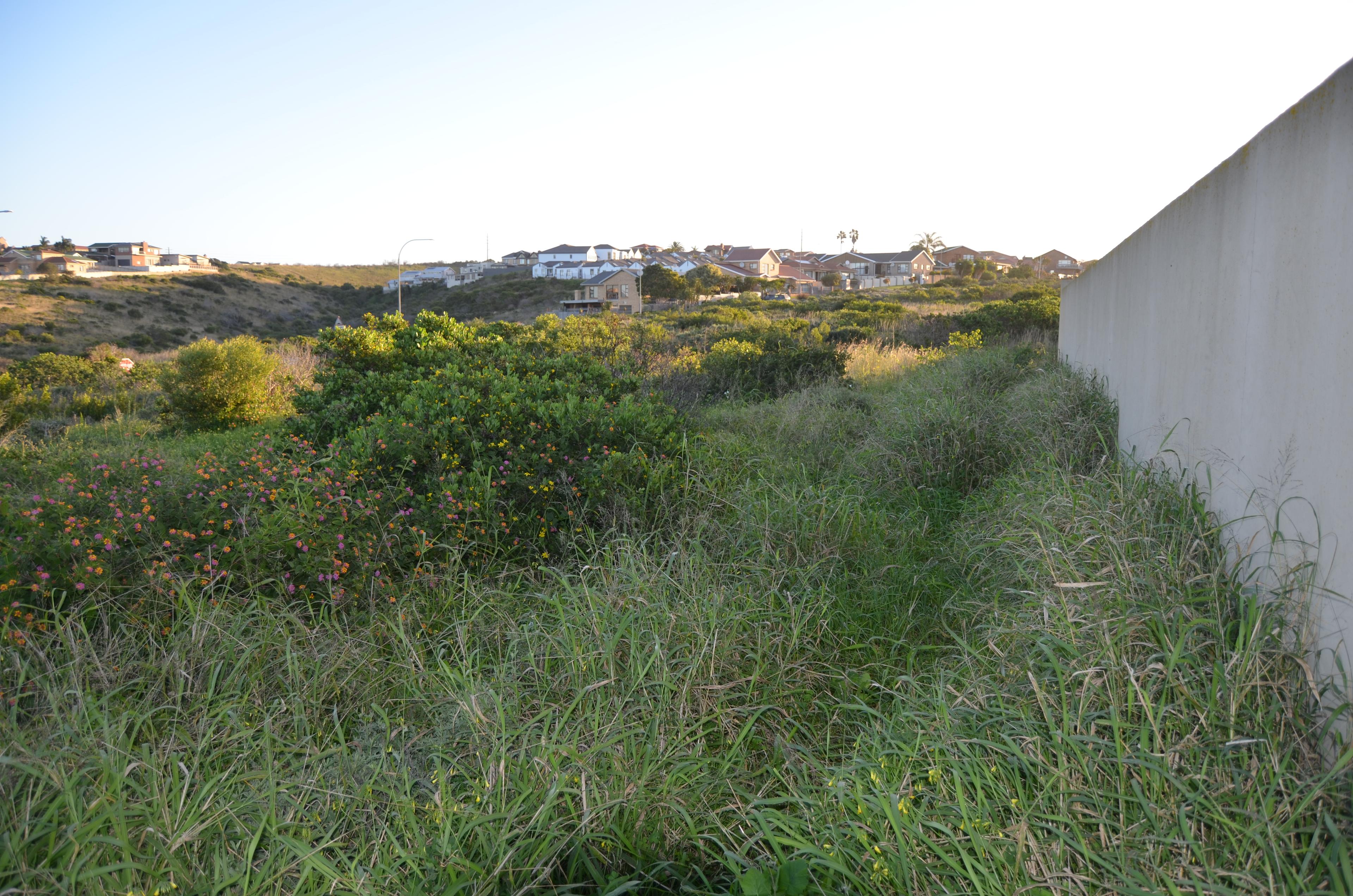 Image 2 of 6