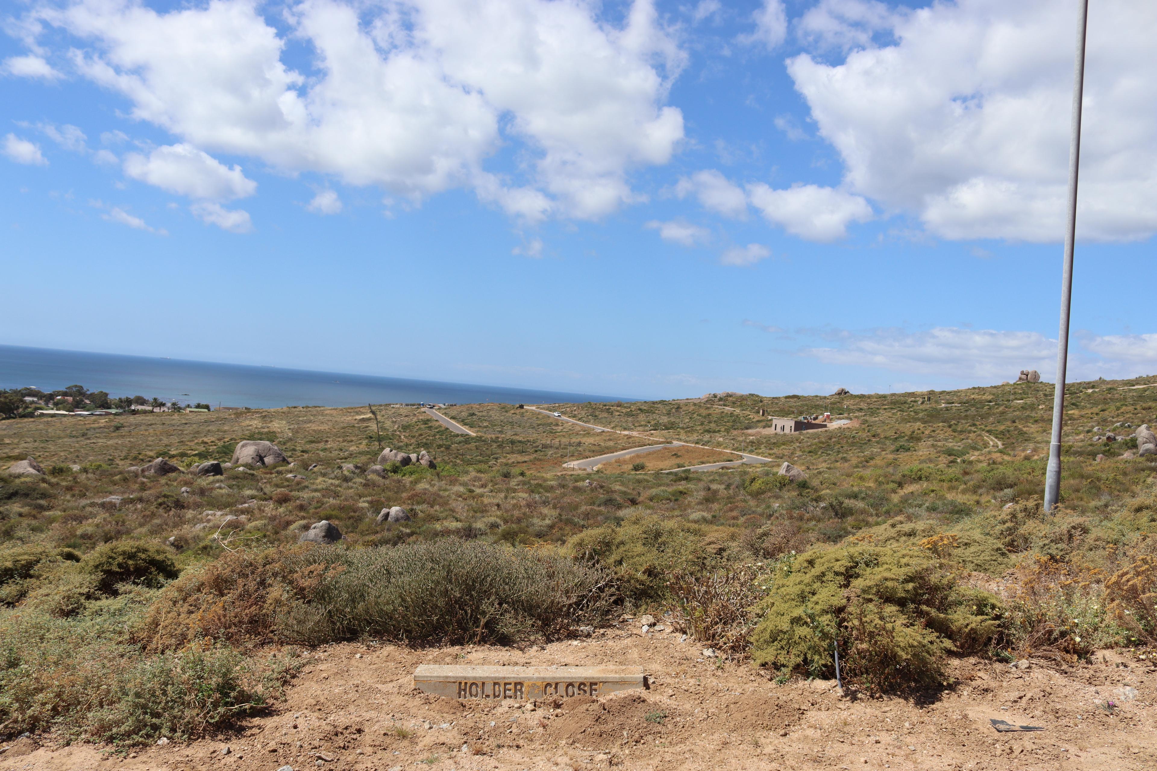 Image 15