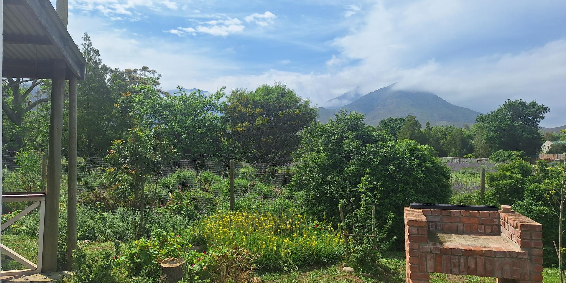 Image 4 of 6