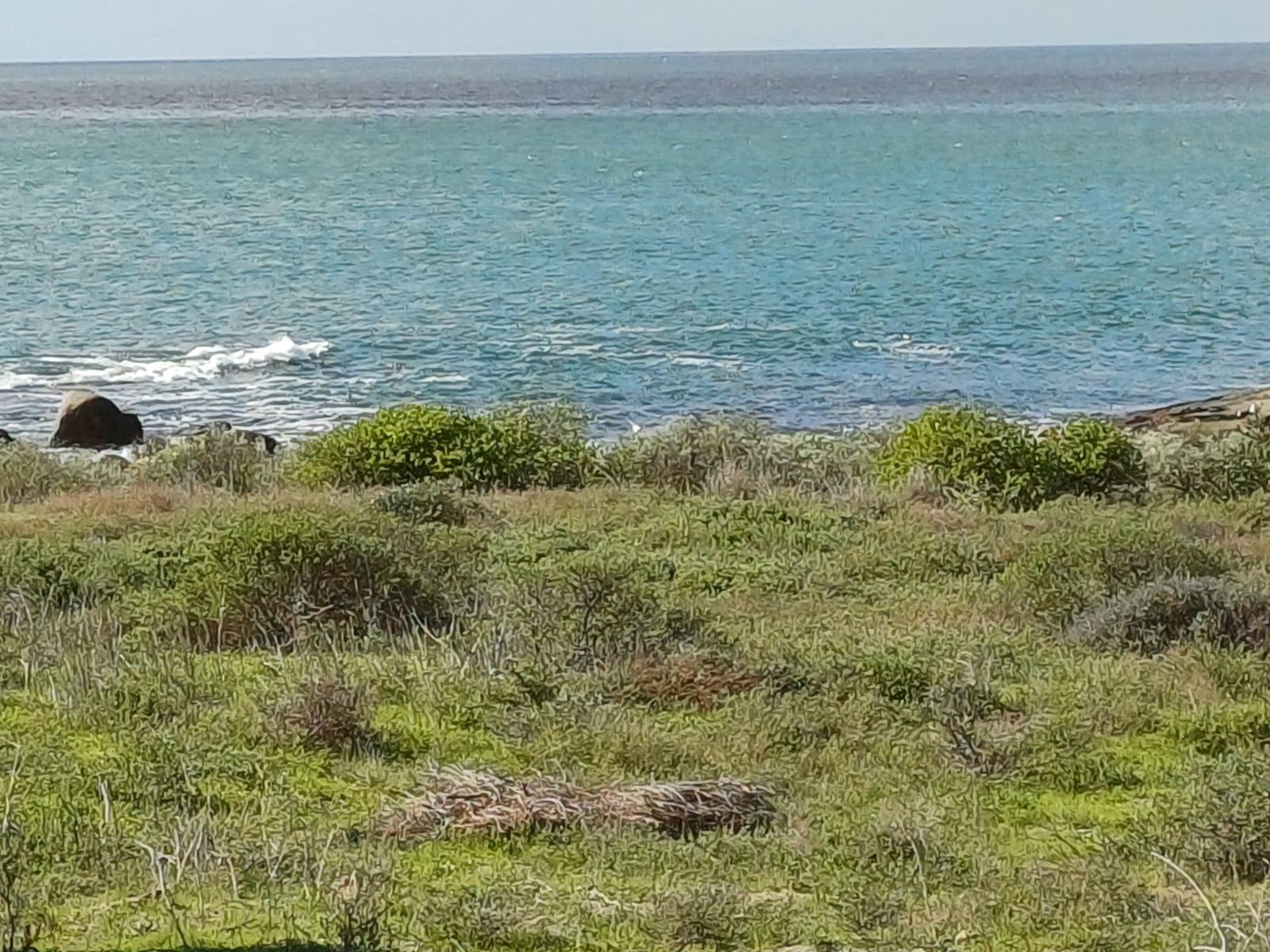 Image 13