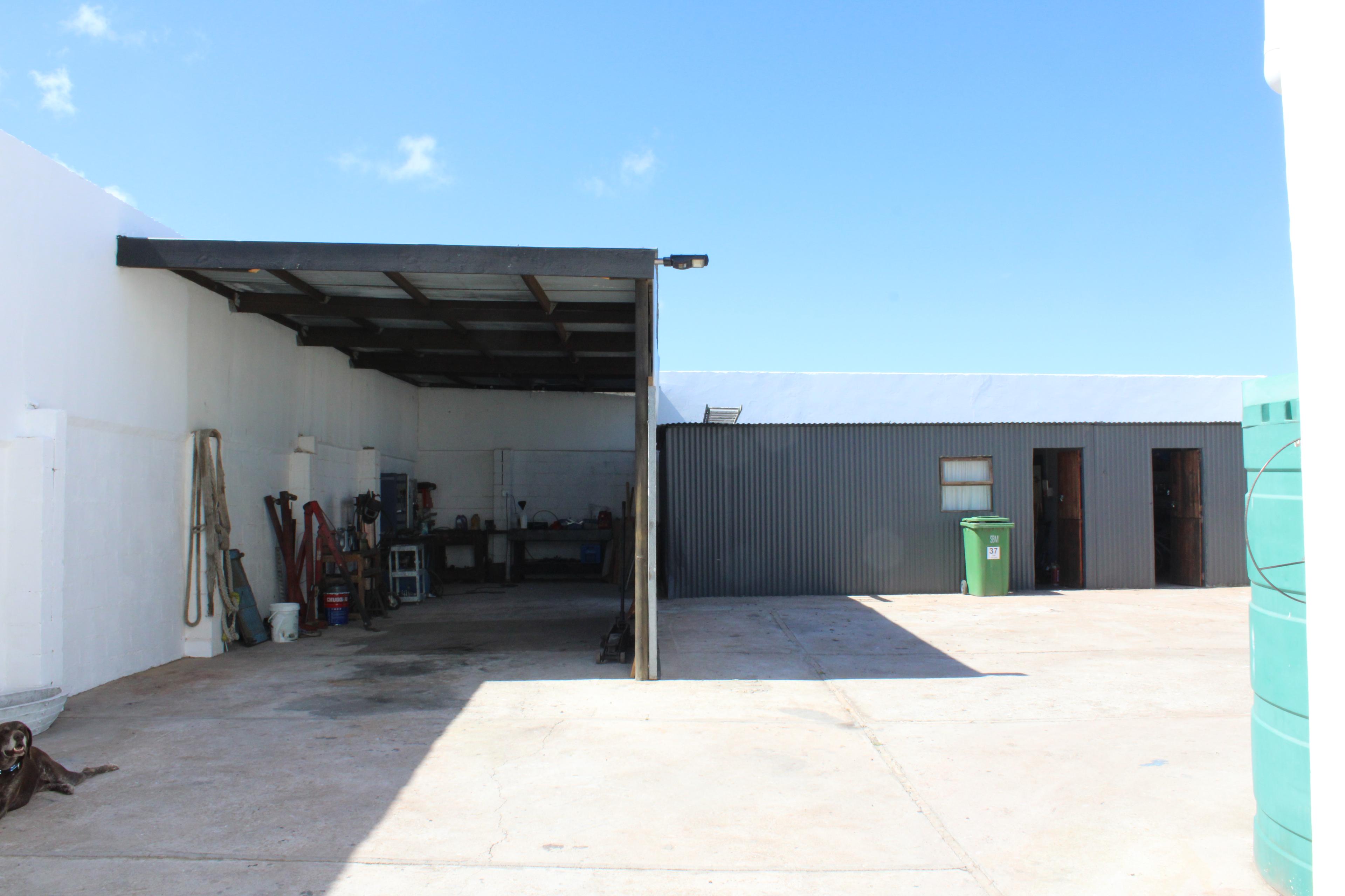 Image 12