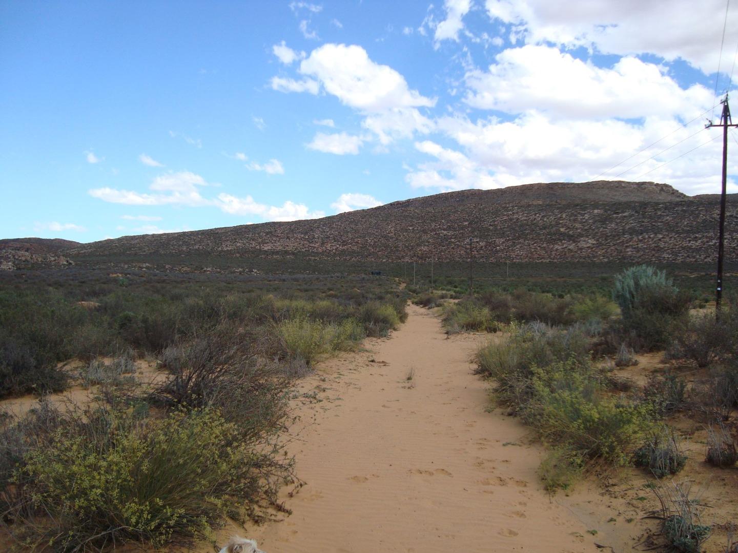 Image 19
