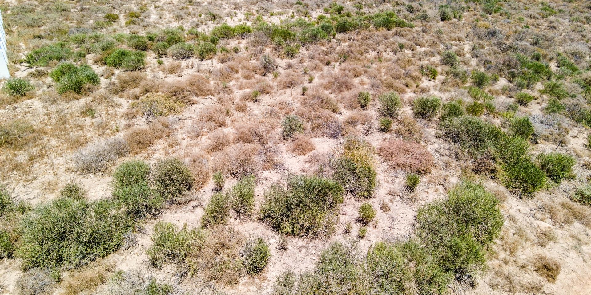 Image 2 of 6