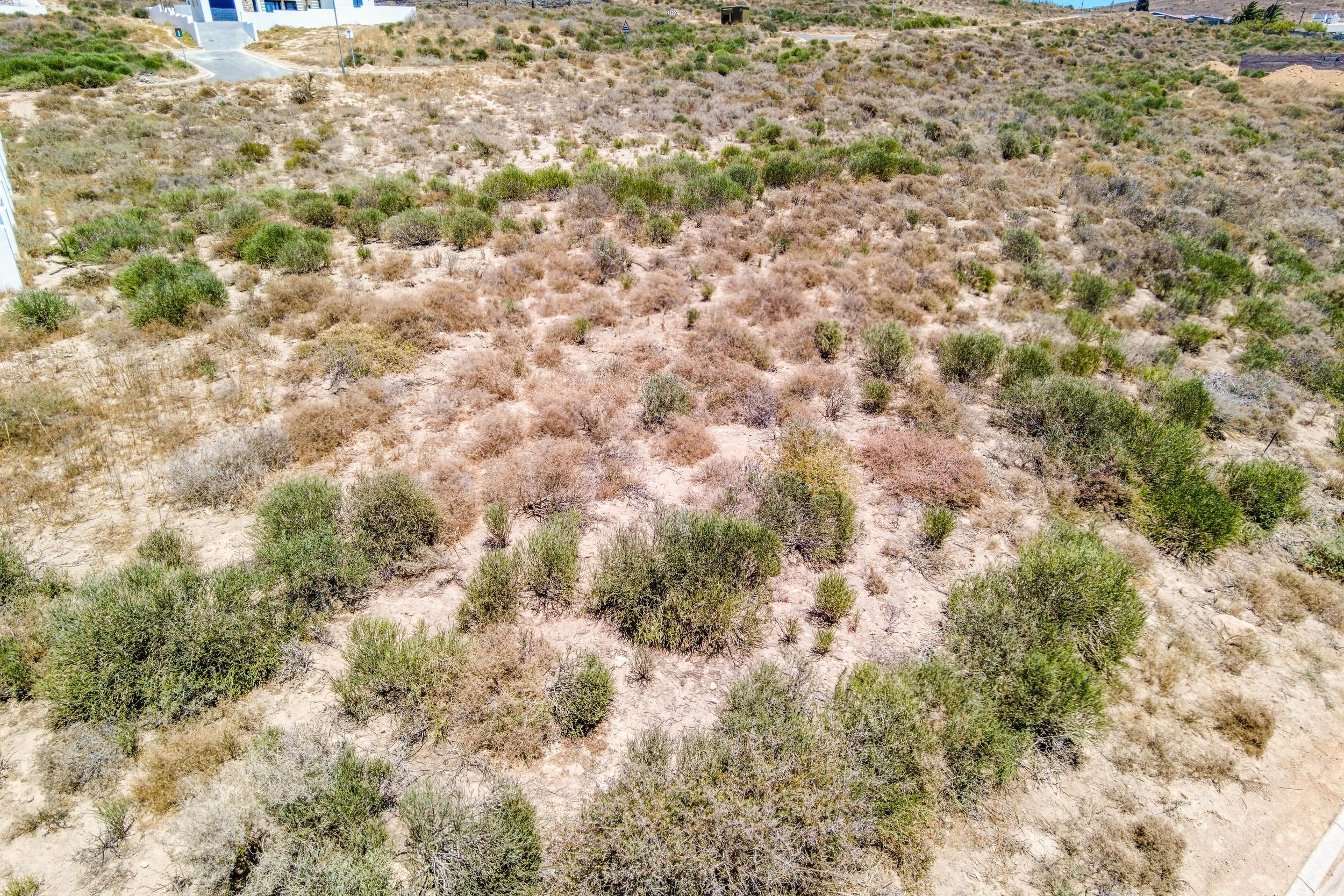 Image 2 of 6