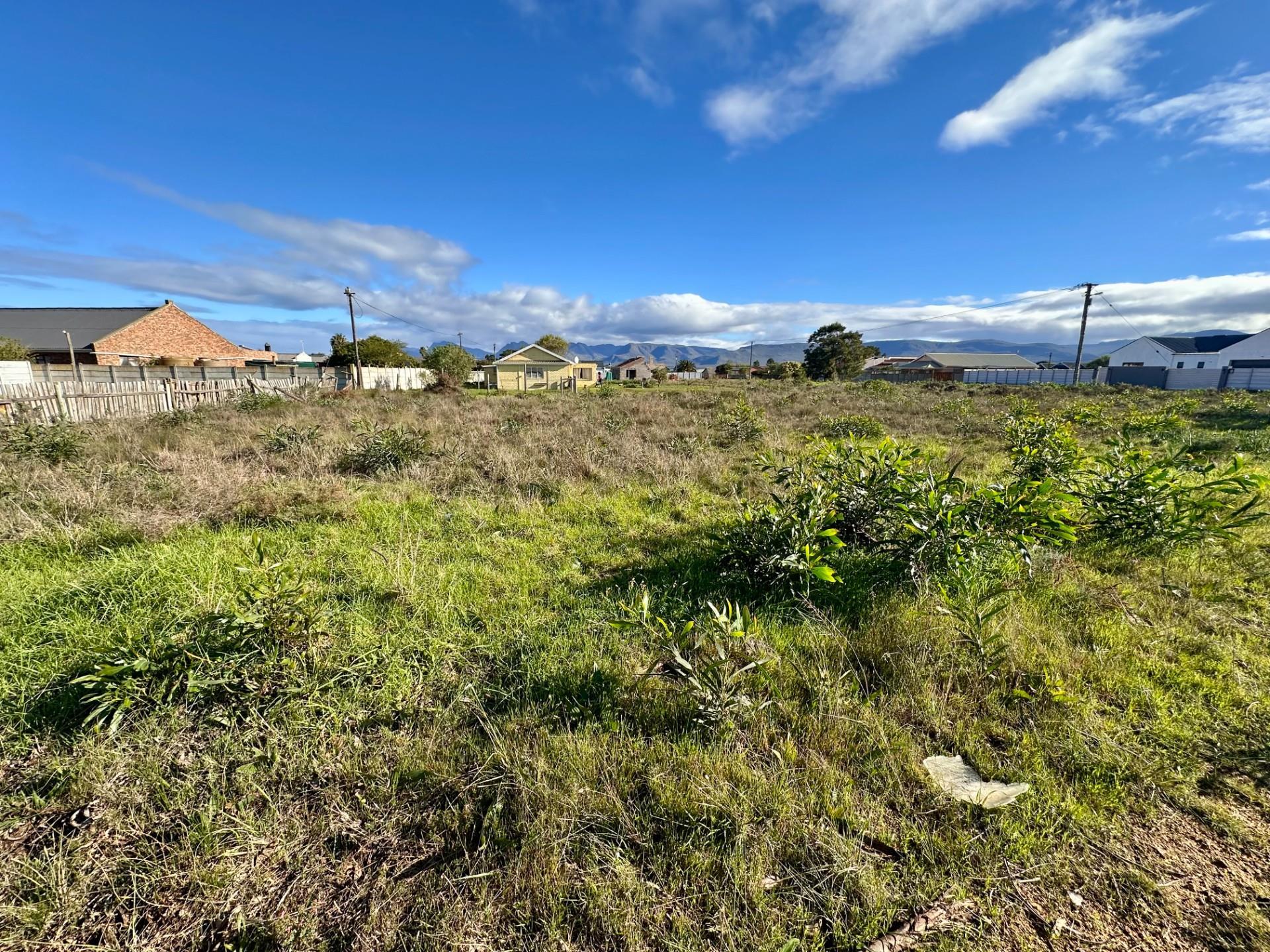 Image 5 of 6