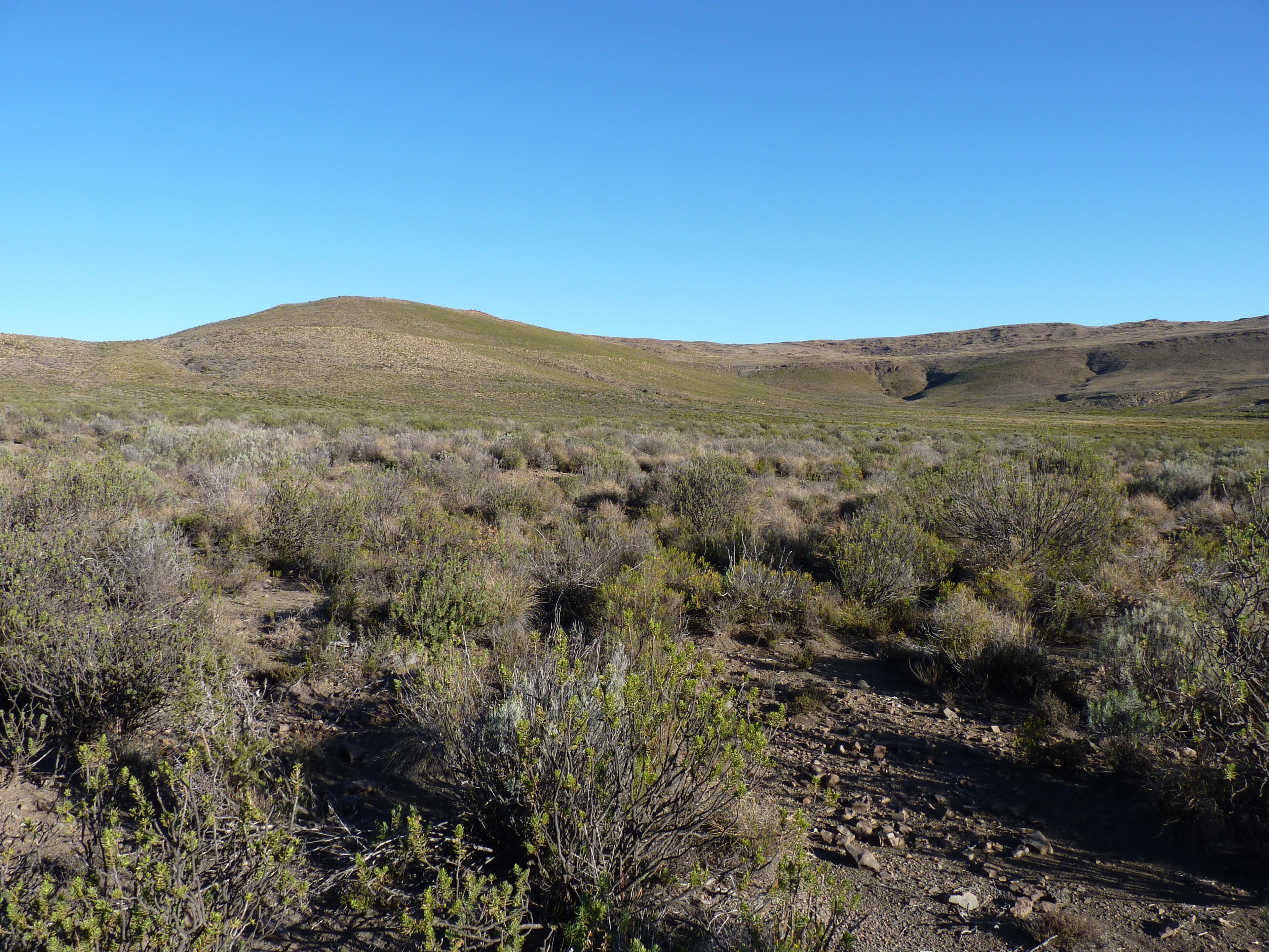 Image 61