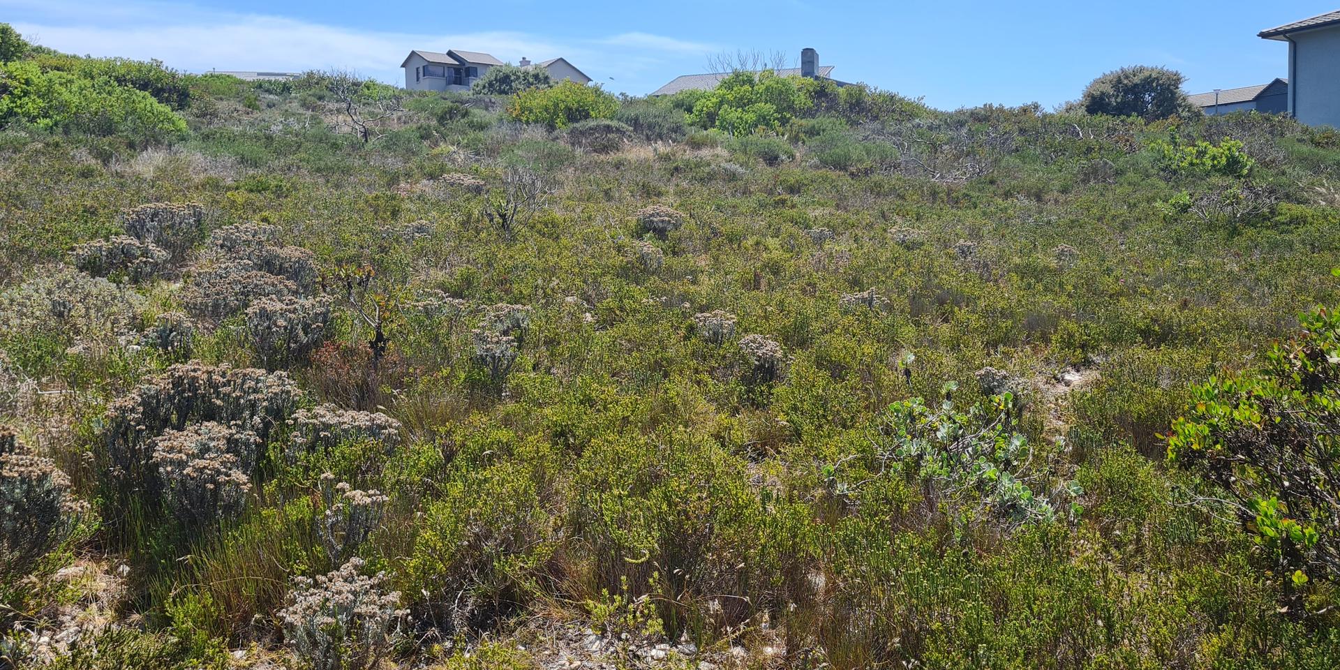 Image 5 of 6