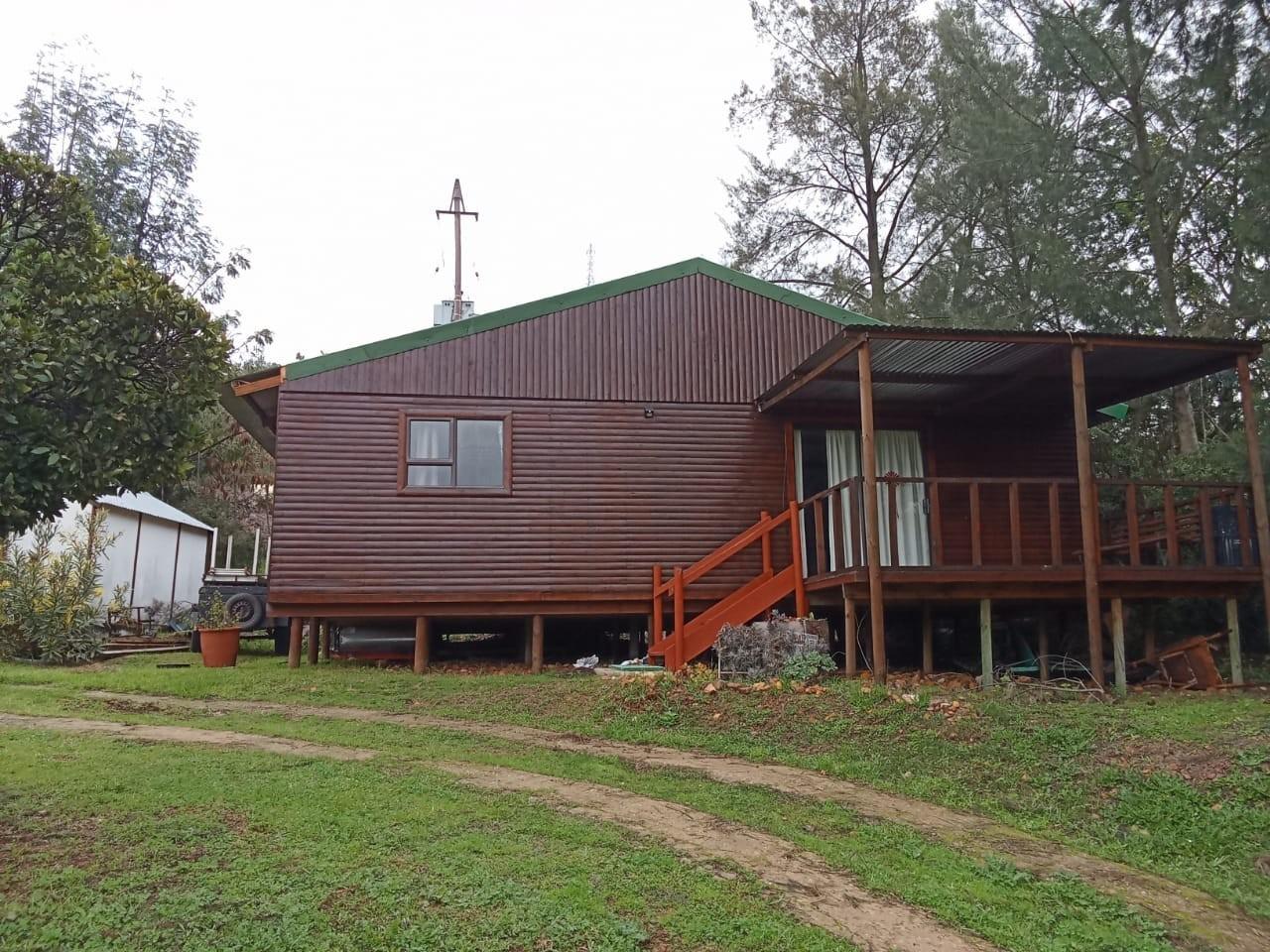Image 15