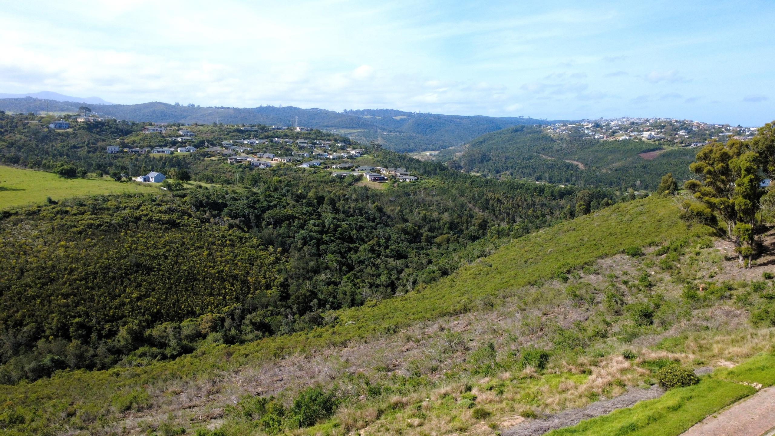 Image 3 of 6