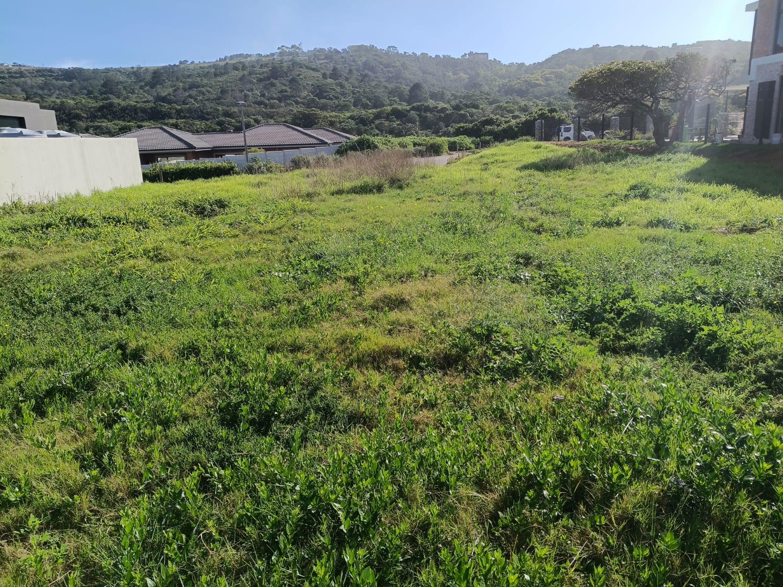 Image 5 of 6