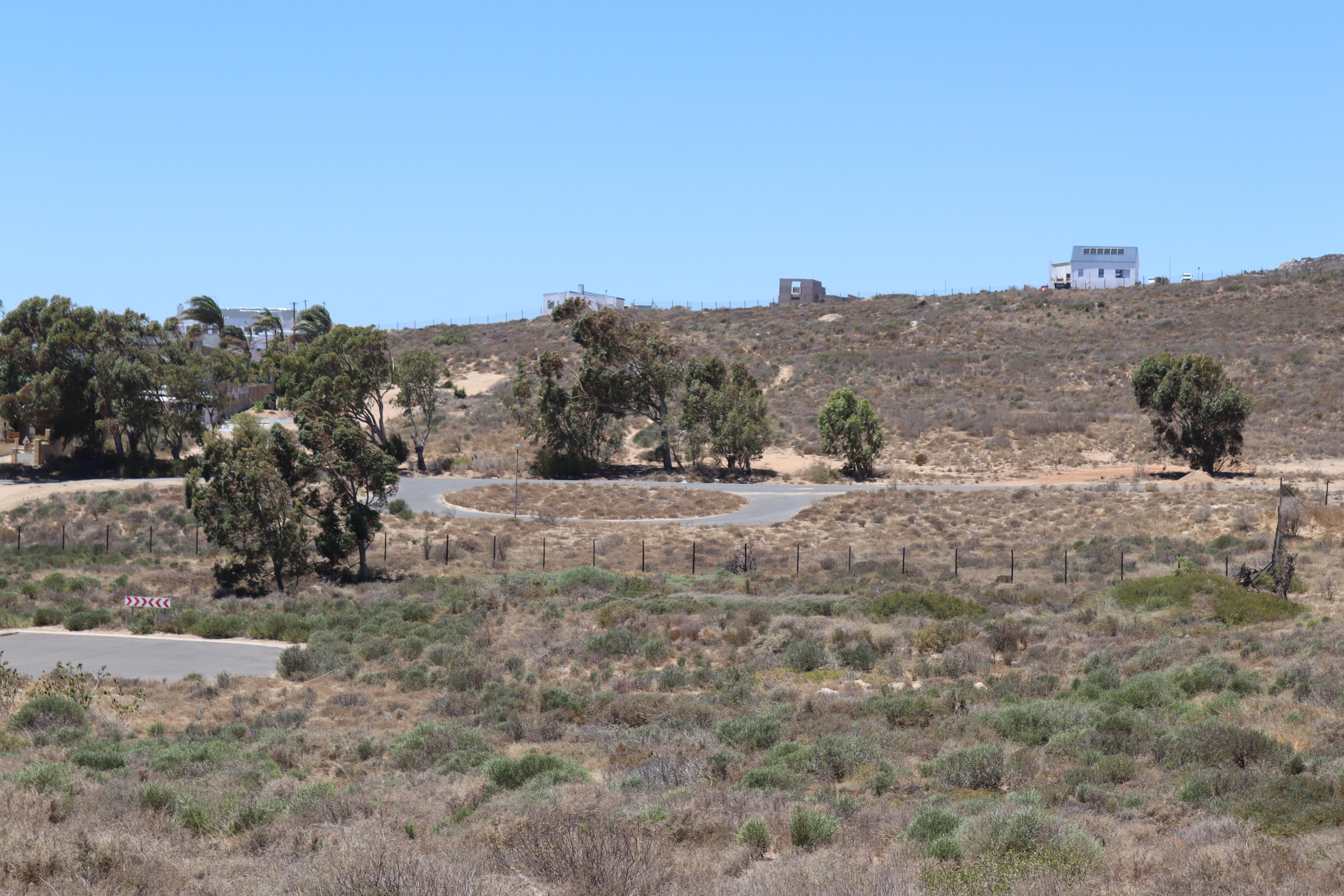 Image 12