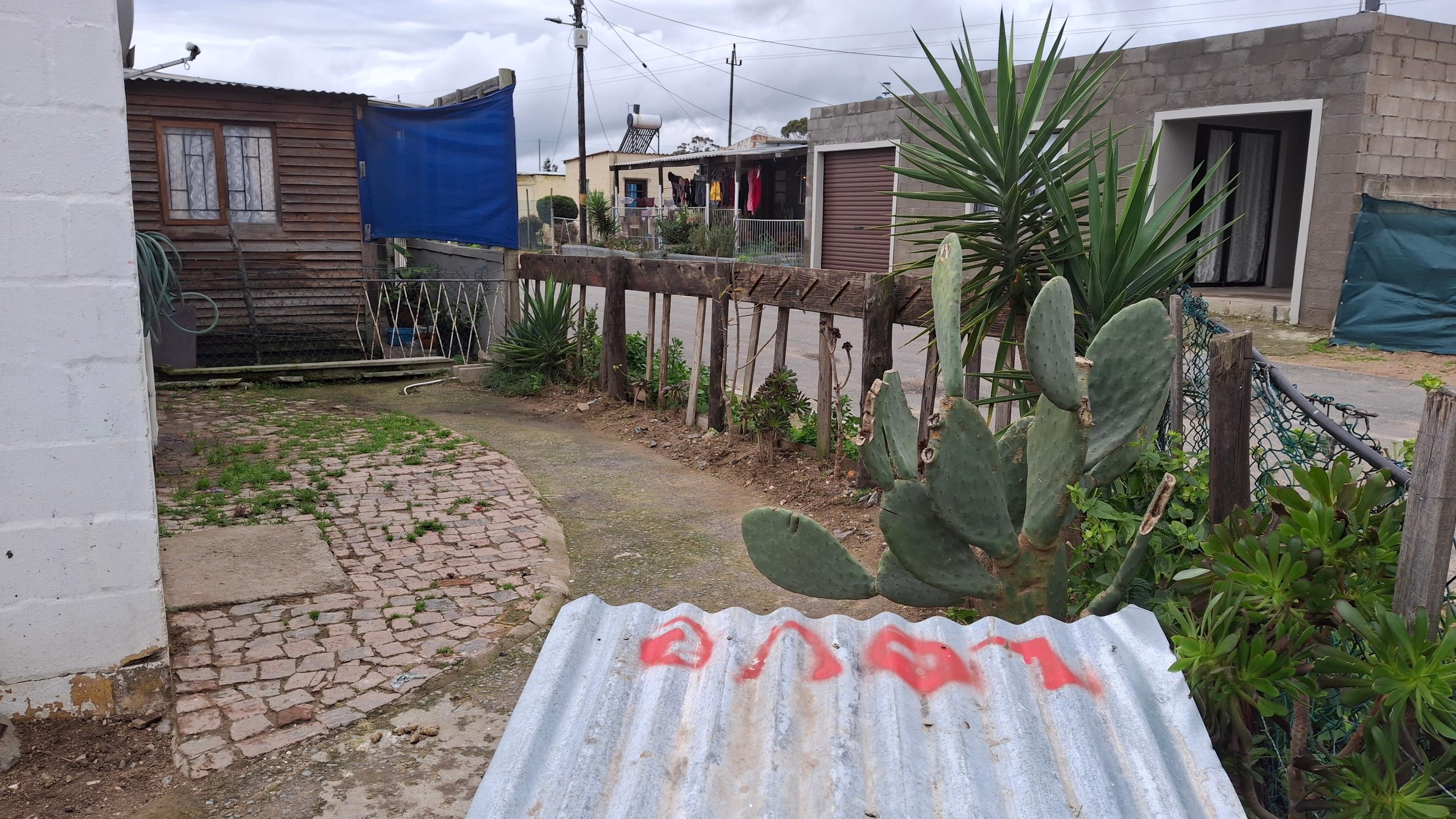 Image 19