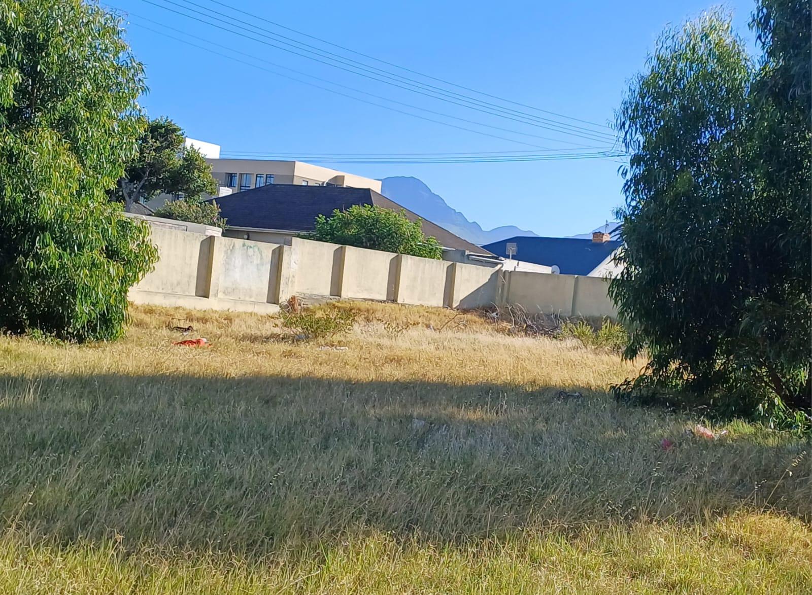Image 10