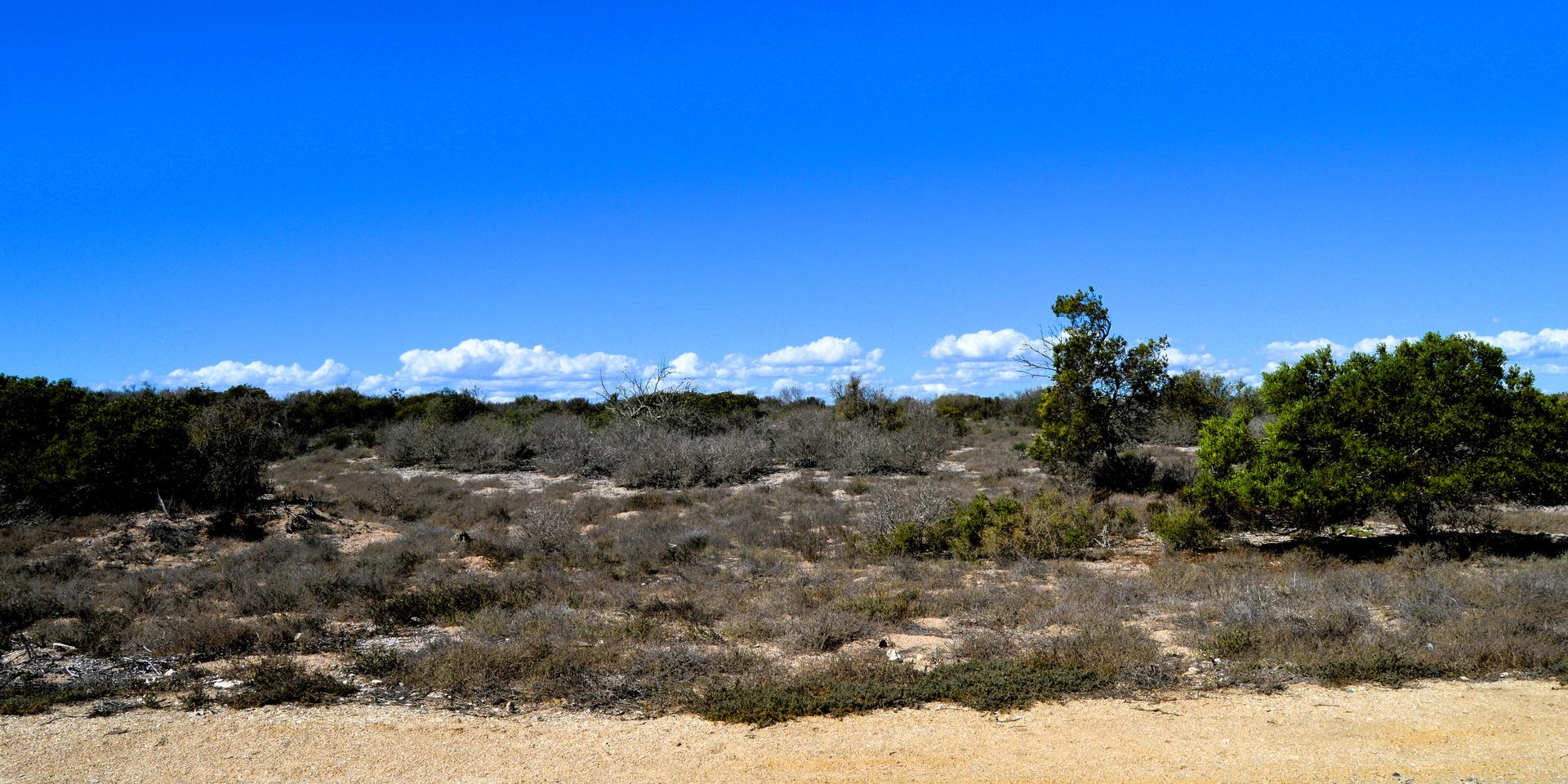 Image 5 of 6
