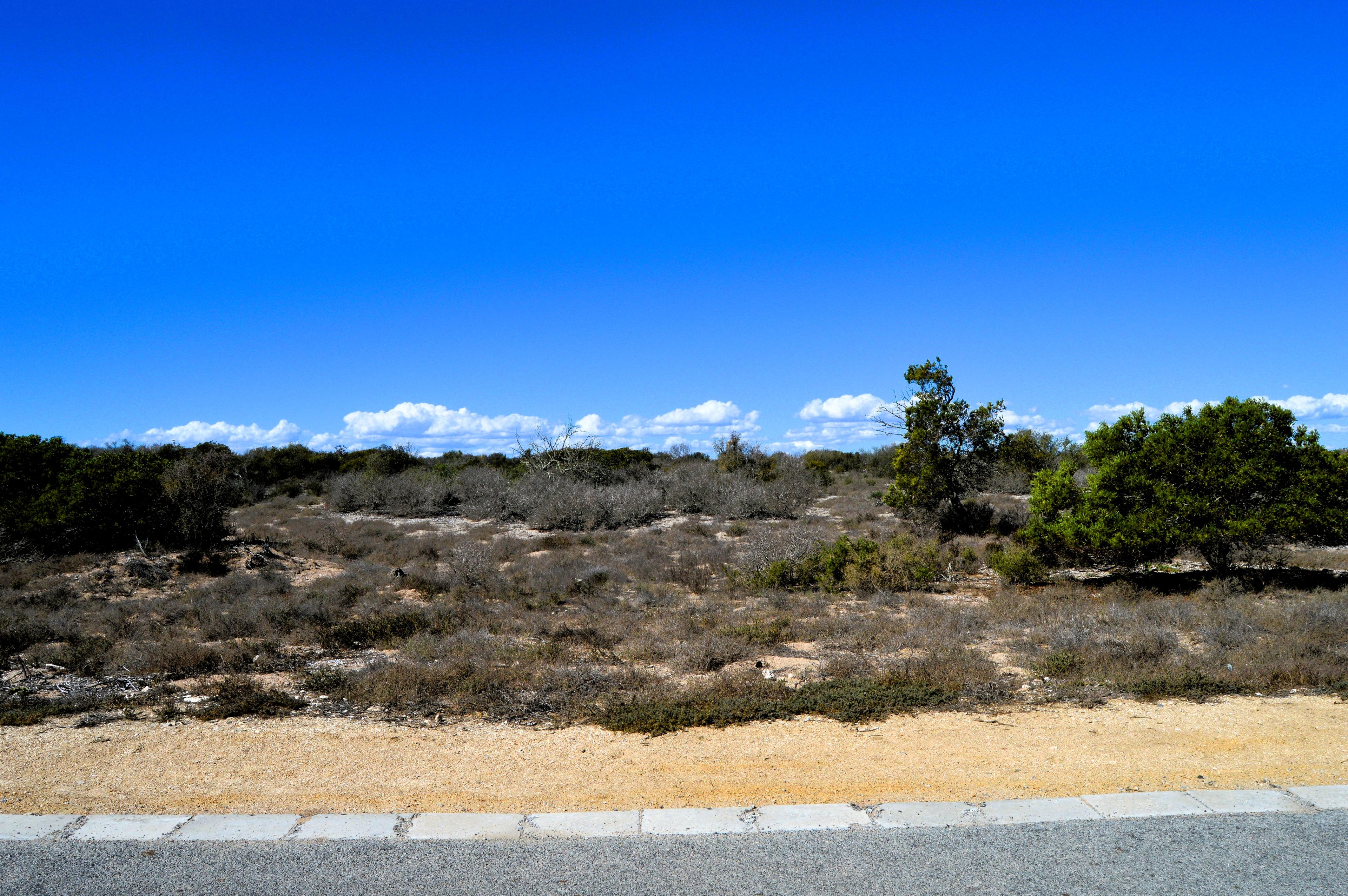 Image 5 of 6