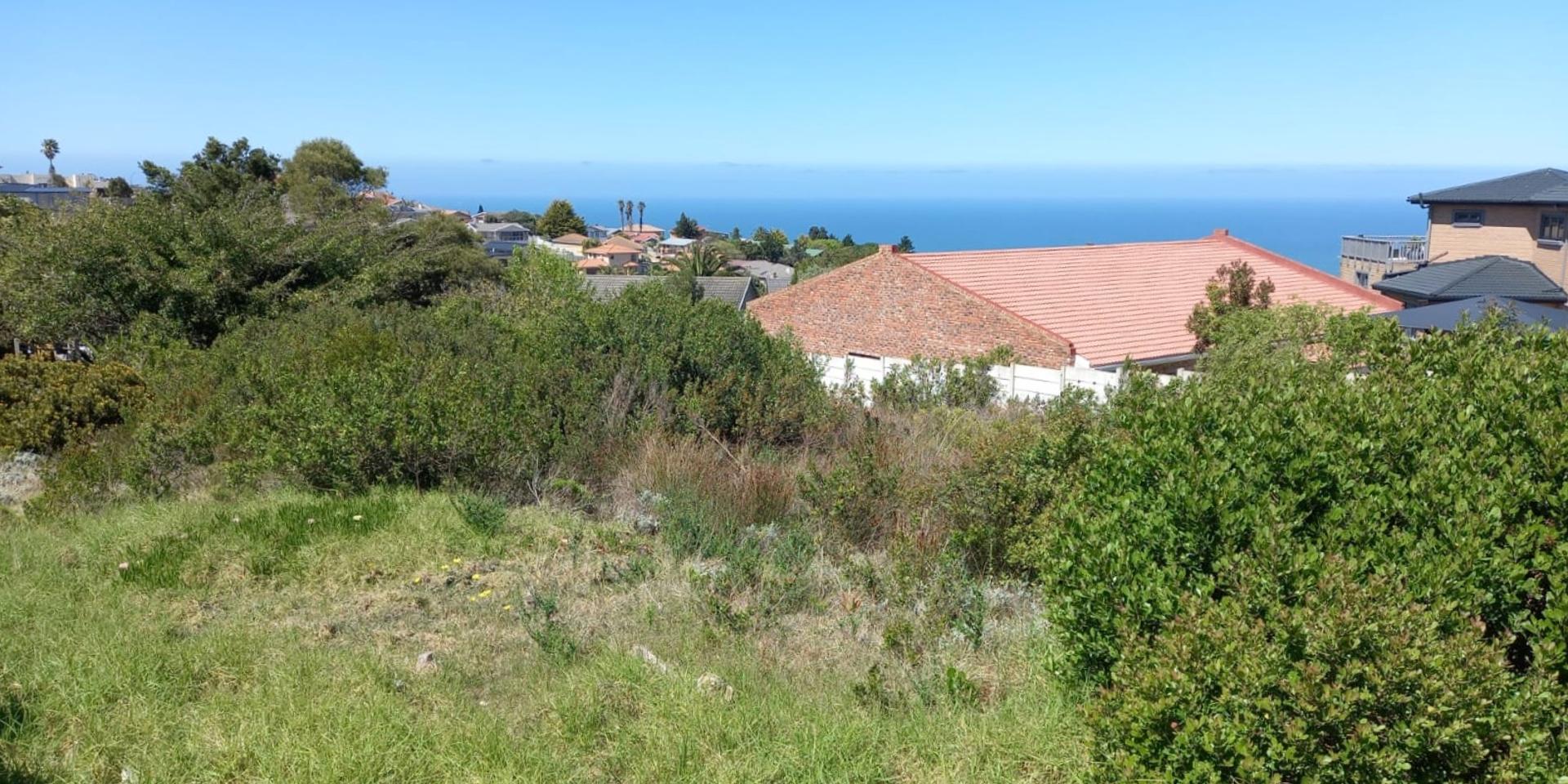 Image 5 of 6