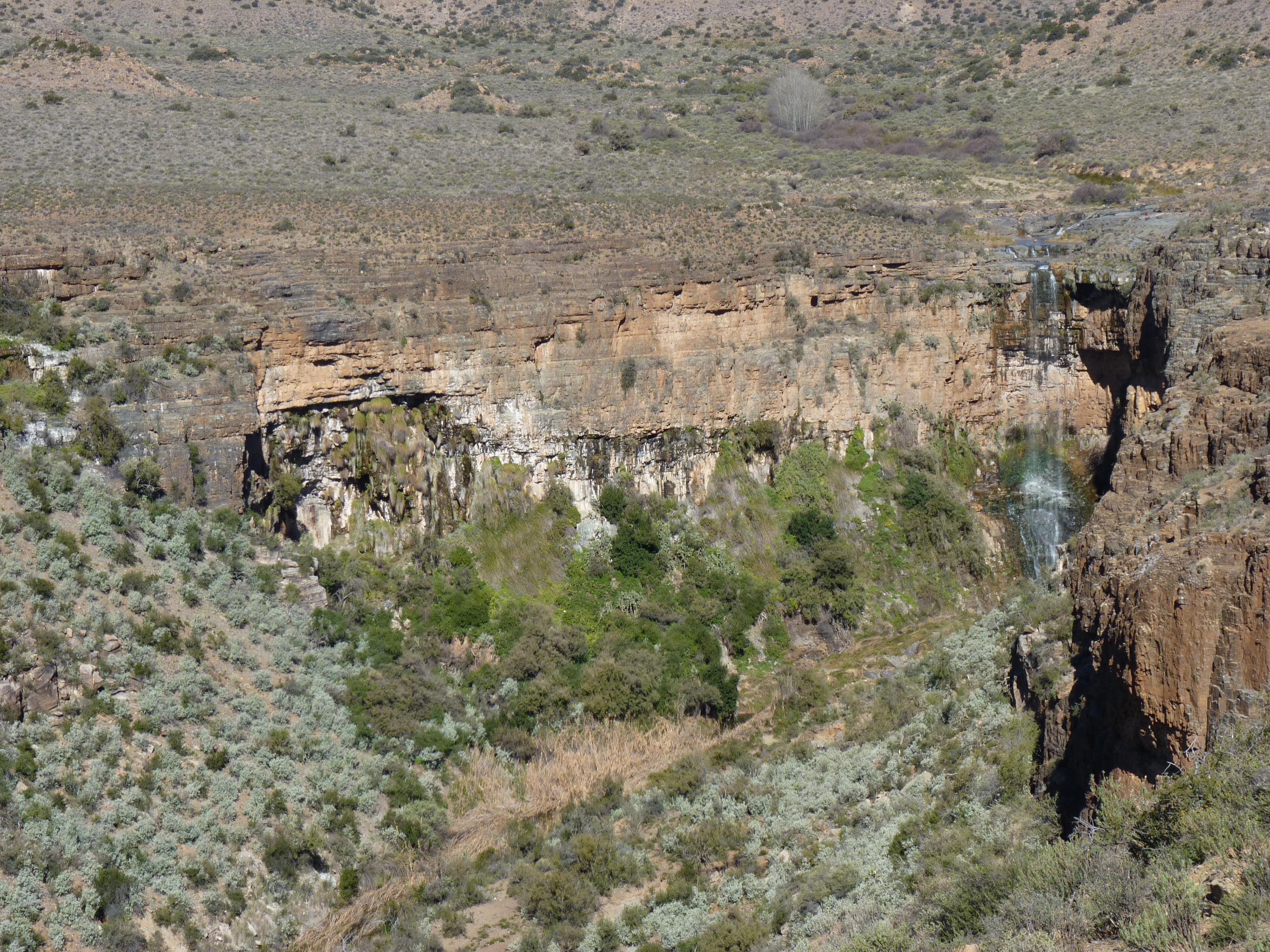 Image 31