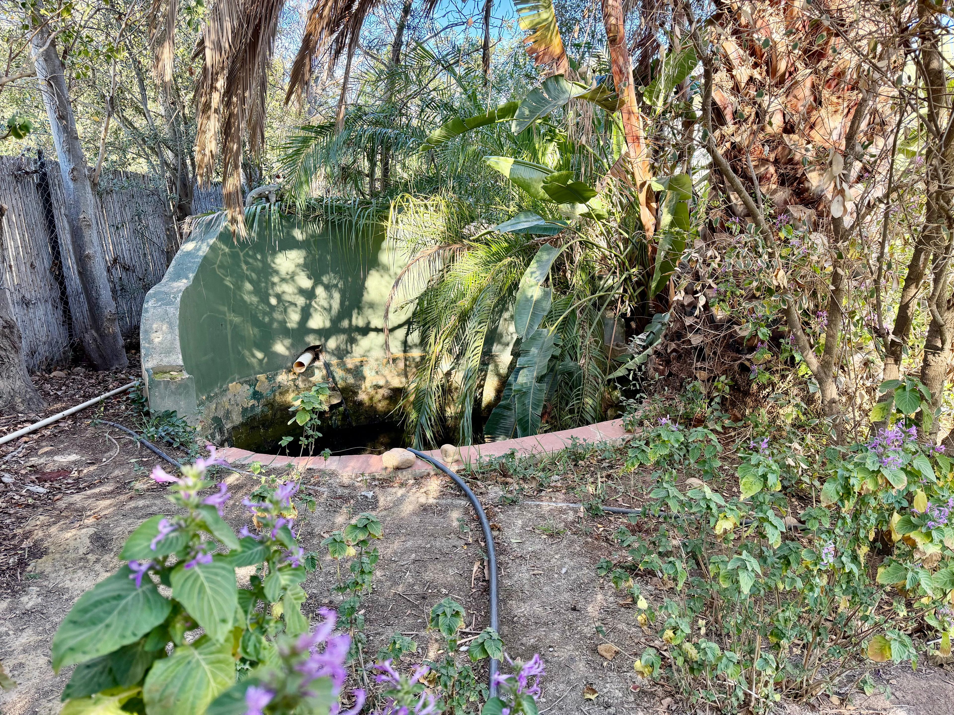 Image 36