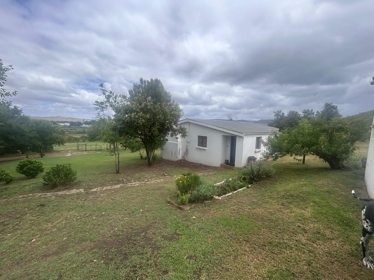Image 12