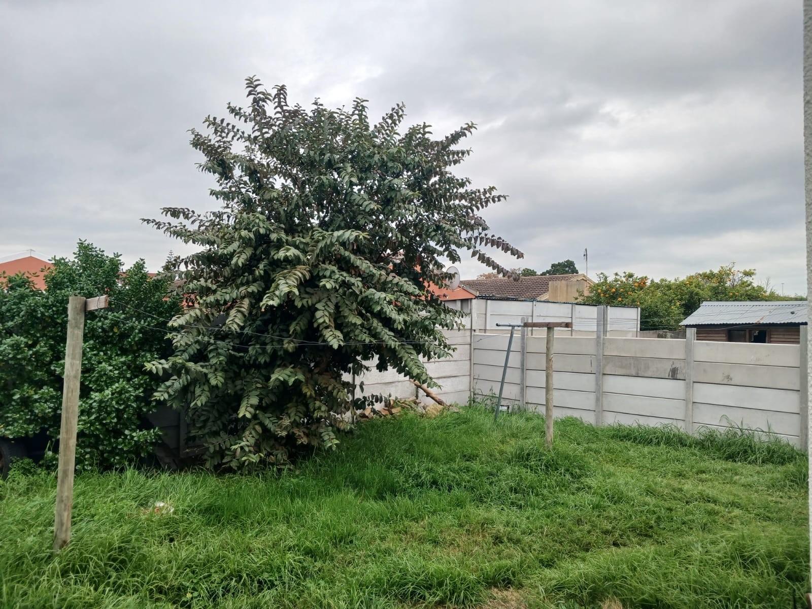 Image 10