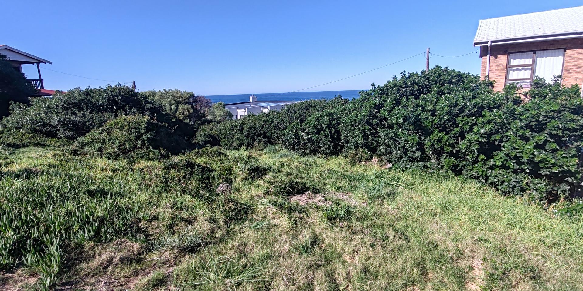 Image 5 of 6