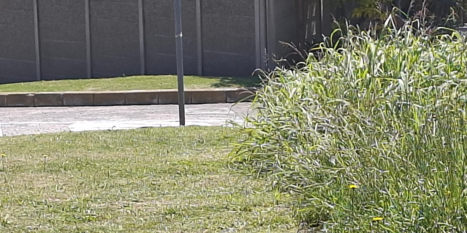 Image 4 of 6