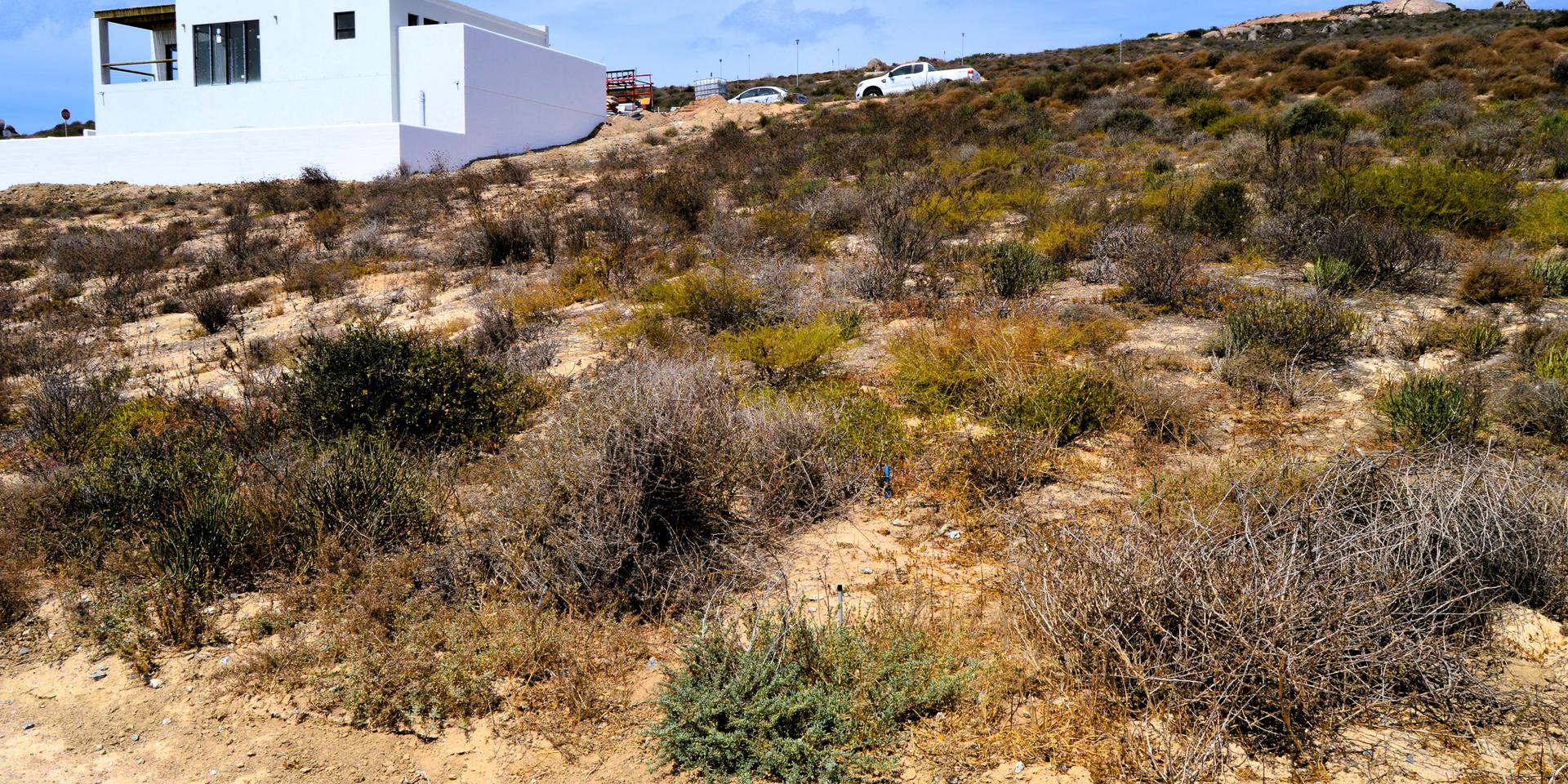 Image 5 of 6