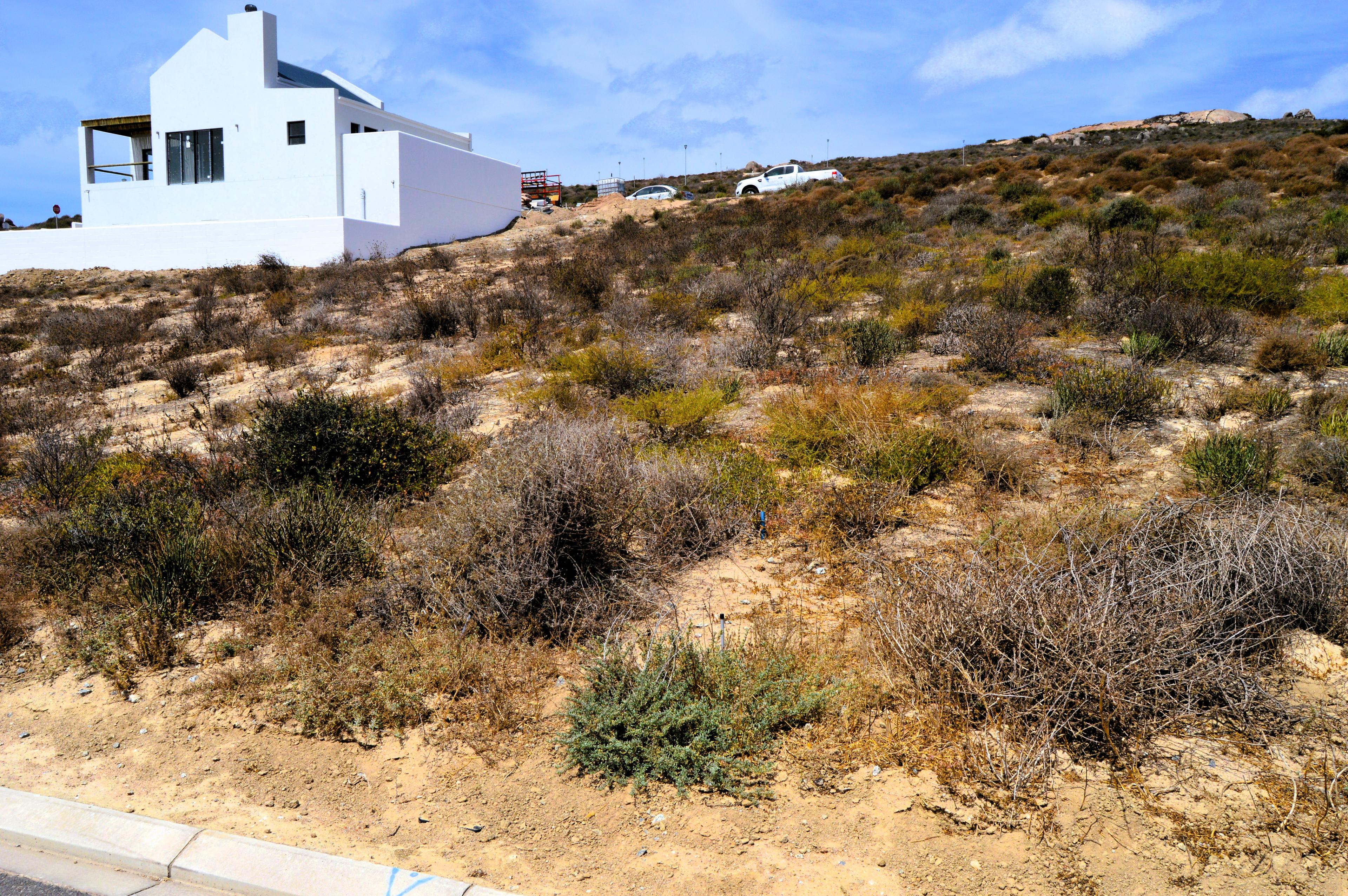 Image 5 of 6