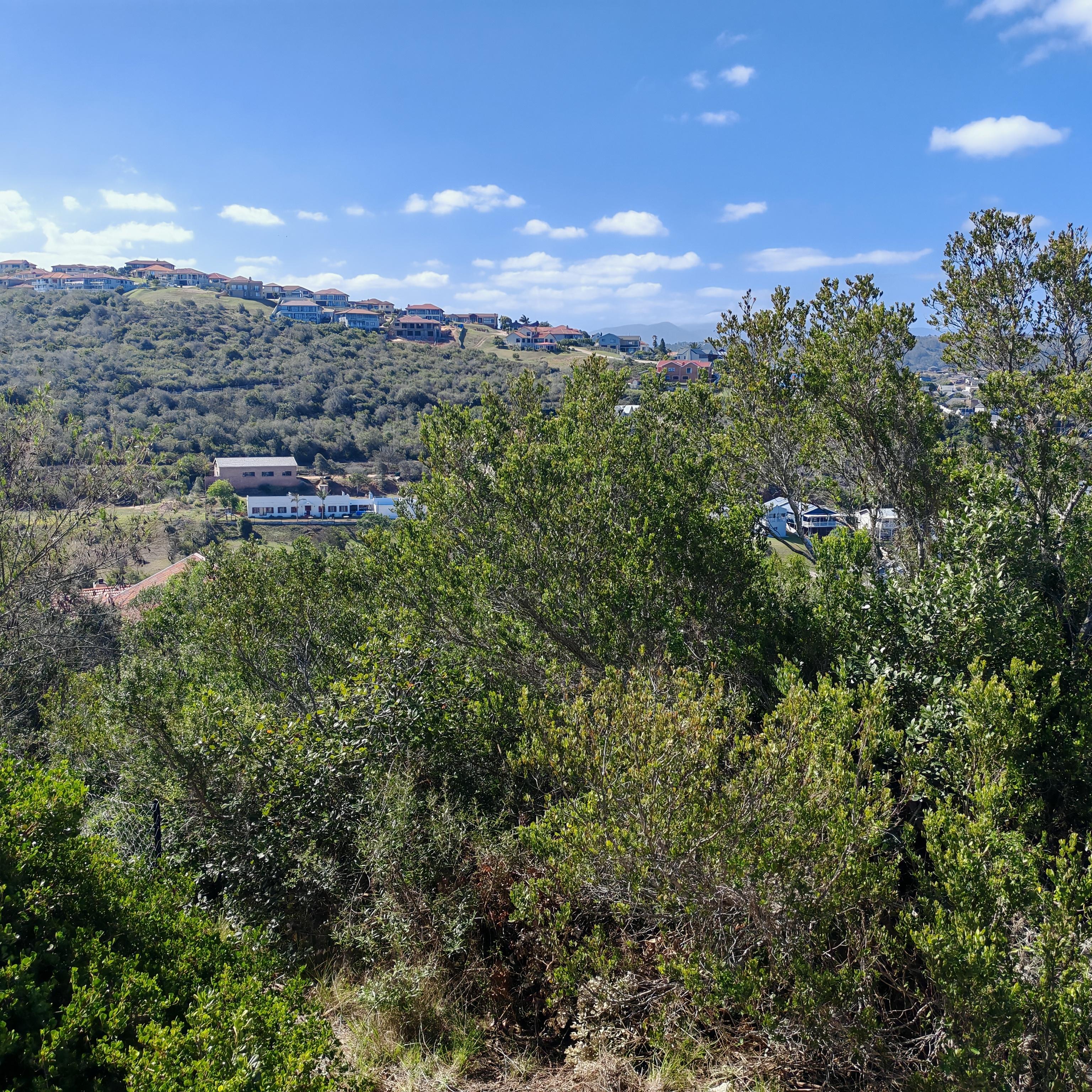 Image 3 of 6