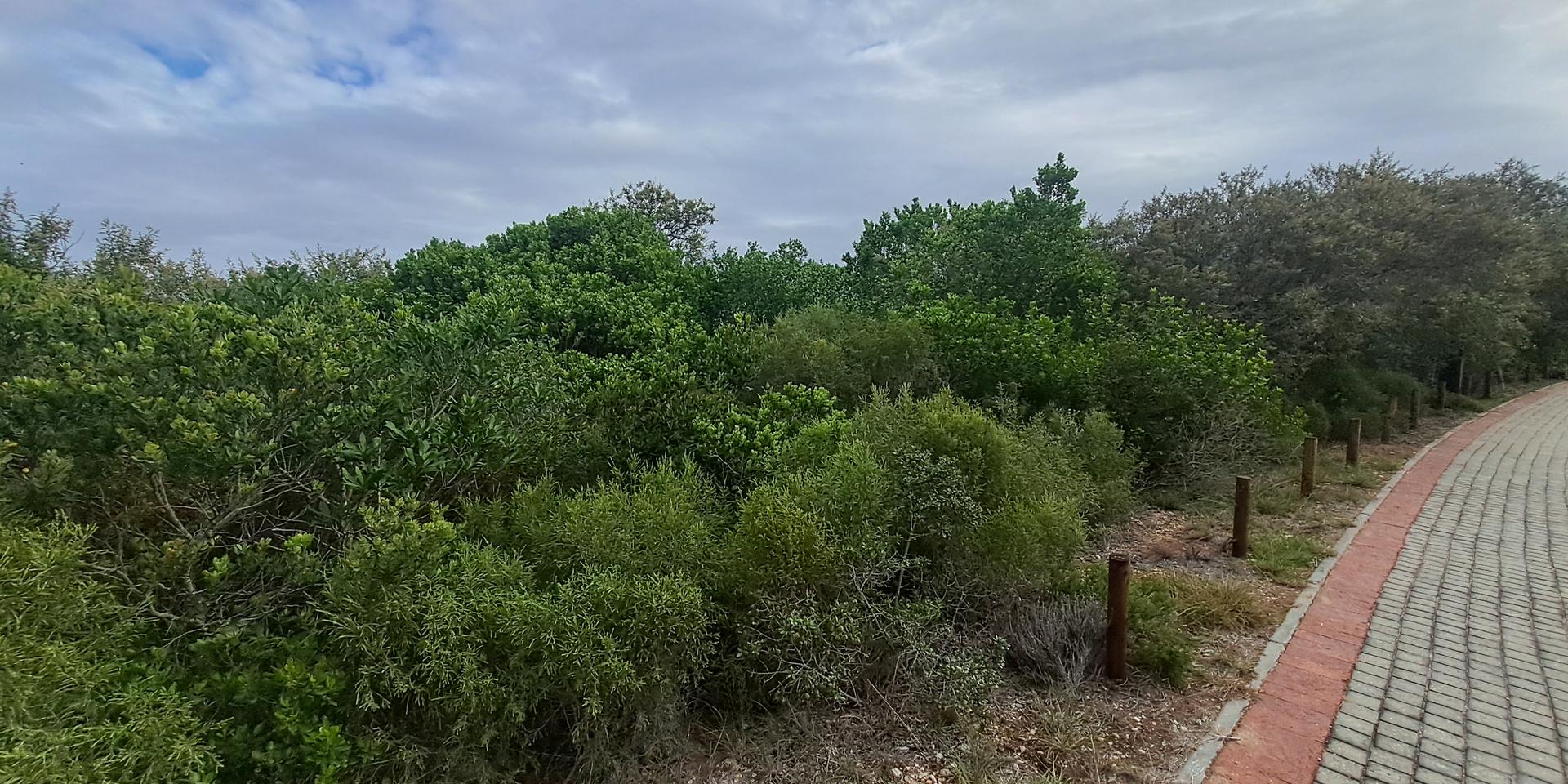 Image 4 of 6
