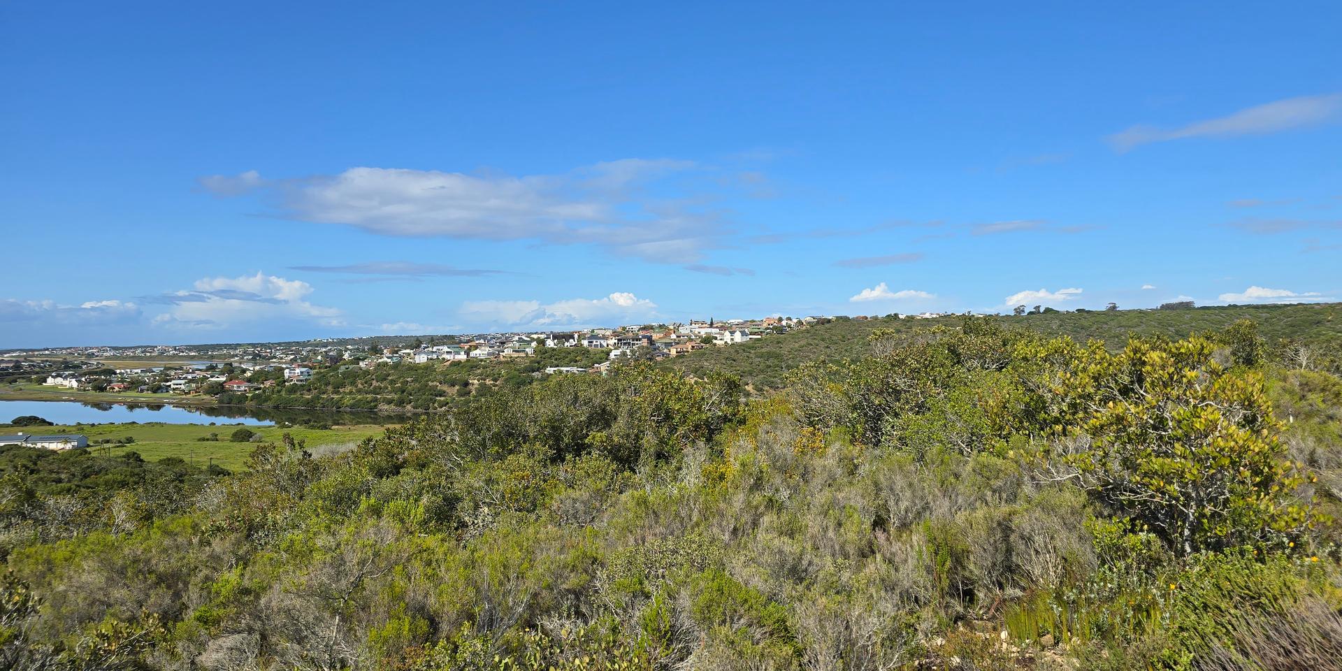 Image 4 of 6