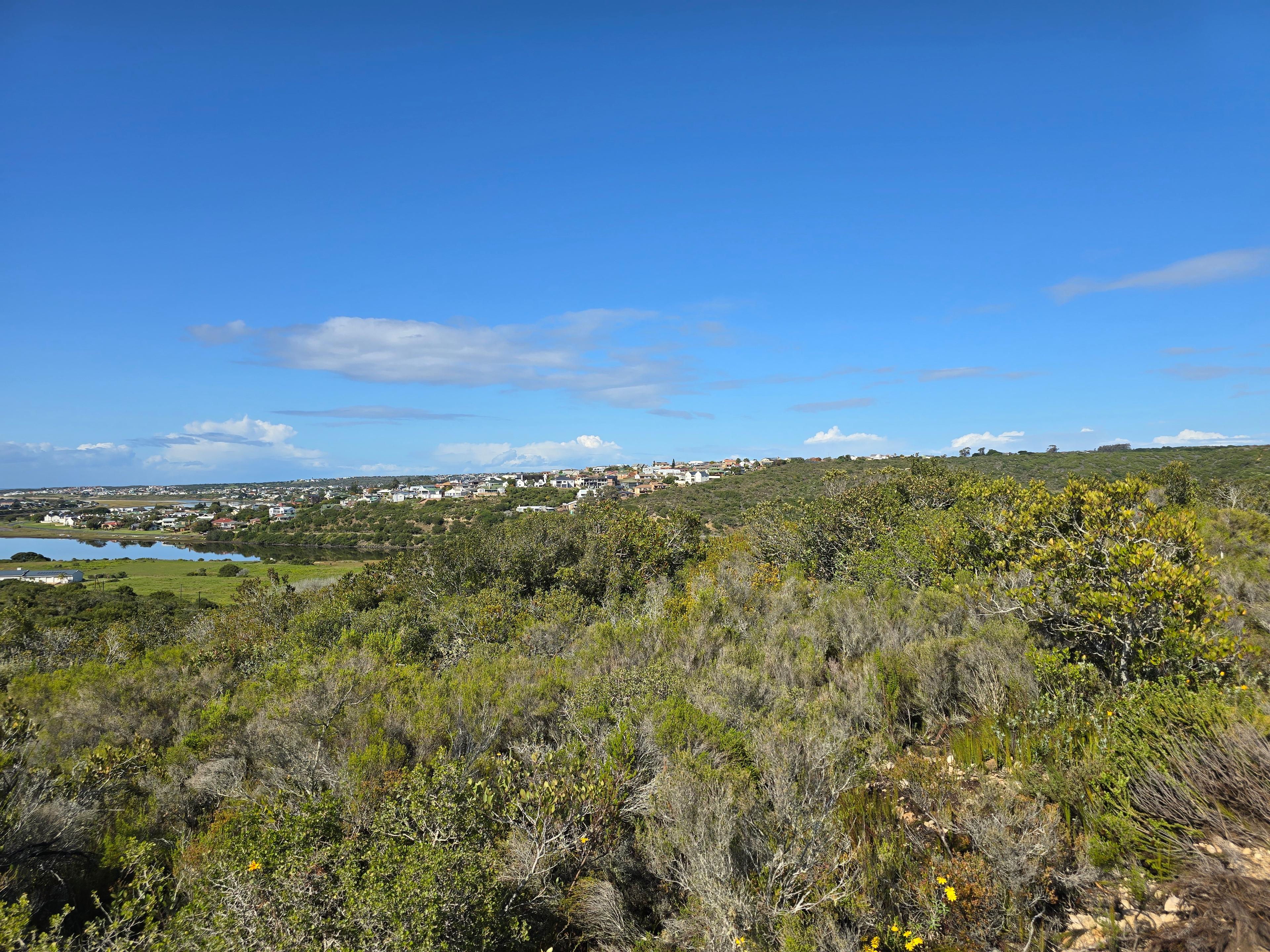 Image 4 of 6