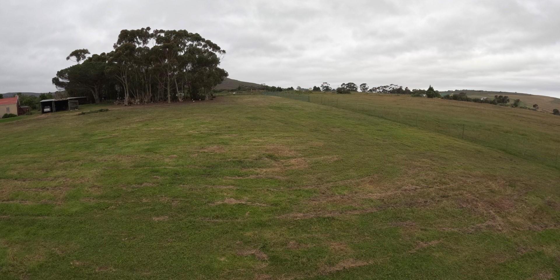 Image 4 of 6