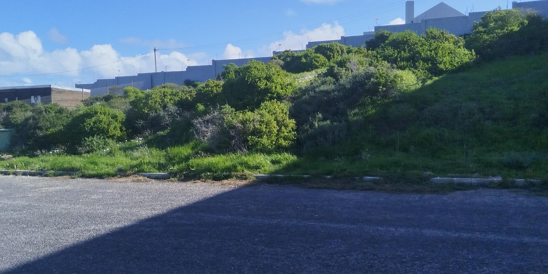 Image 4 of 6