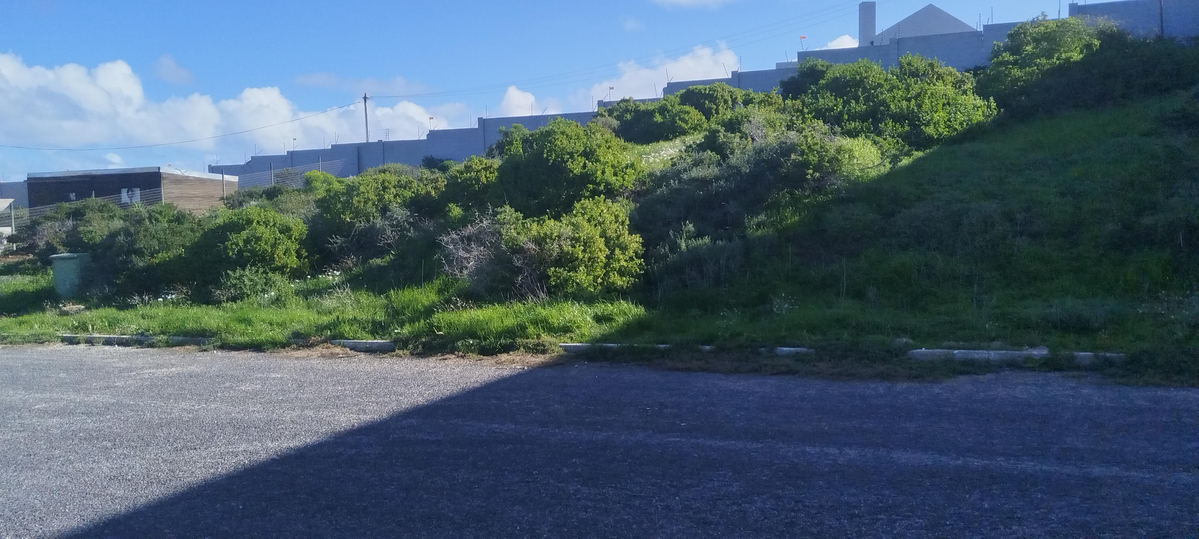 Image 4 of 6